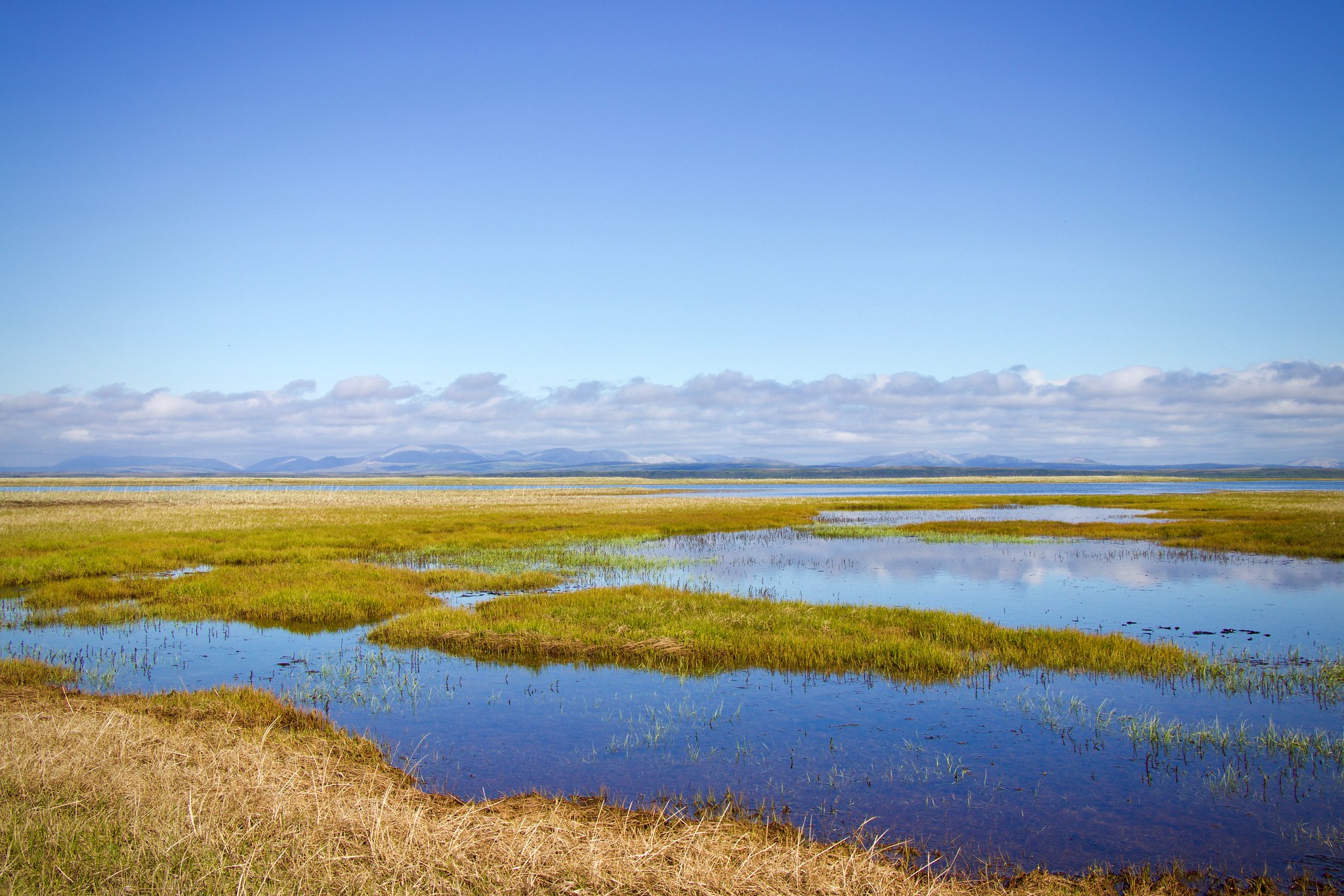 Free download high resolution image - free image free photo free stock image public domain picture -Coastal lagoons in Alaska National Park