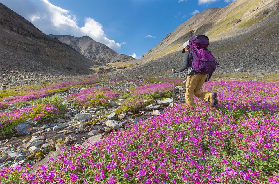 Free download high resolution image - free image free photo free stock image public domain picture  Exploring the alpine terrain around Bremner