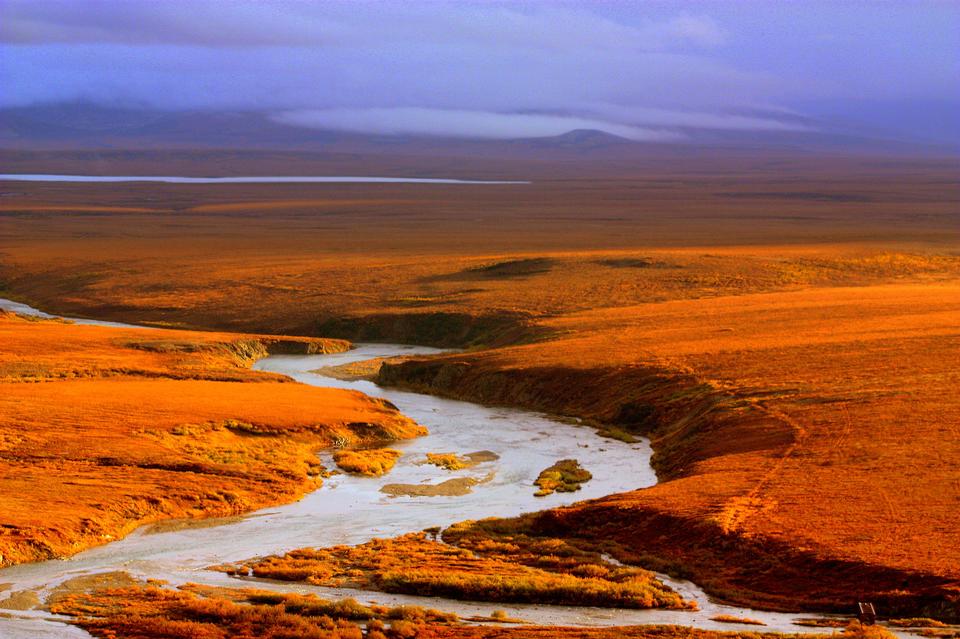 Free download high resolution image - free image free photo free stock image public domain picture  pilgrim river in Alaska National Park