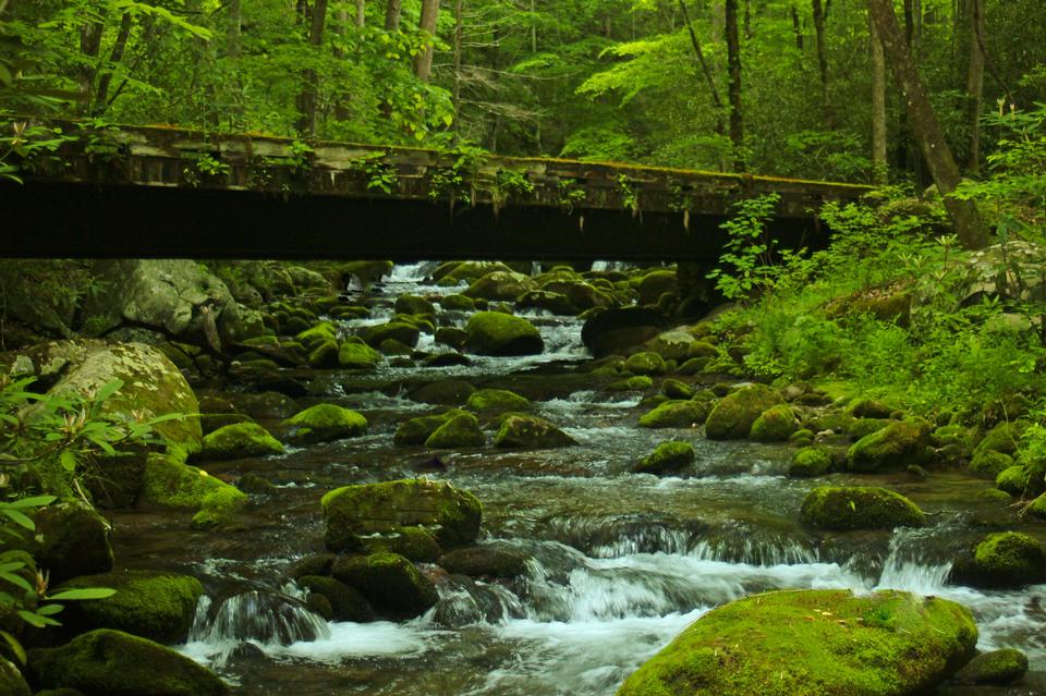 Free download high resolution image - free image free photo free stock image public domain picture  Graet Smoky Mountains National Park