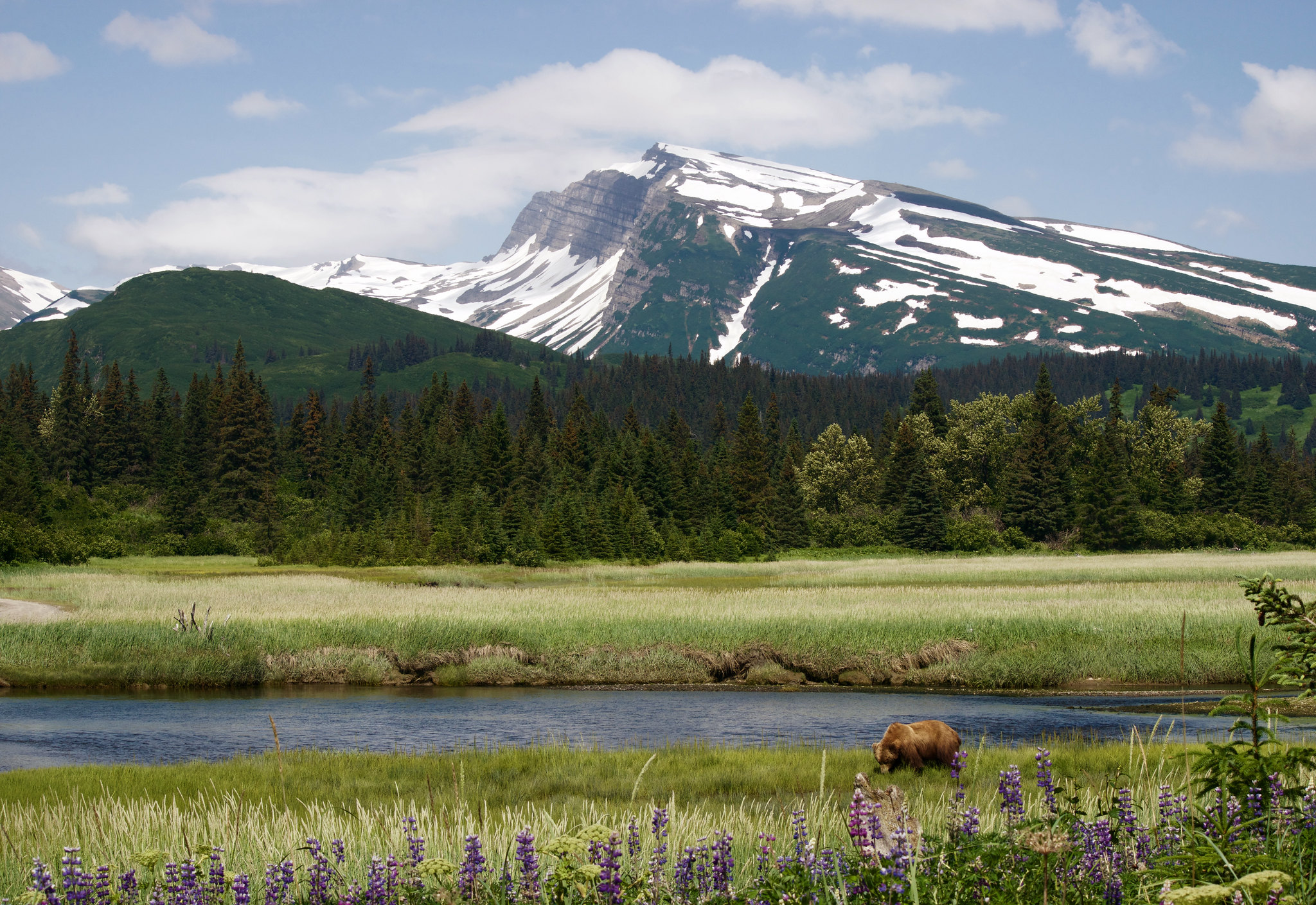 Free download high resolution image - free image free photo free stock image public domain picture -Lake Clark National Park & Preserve