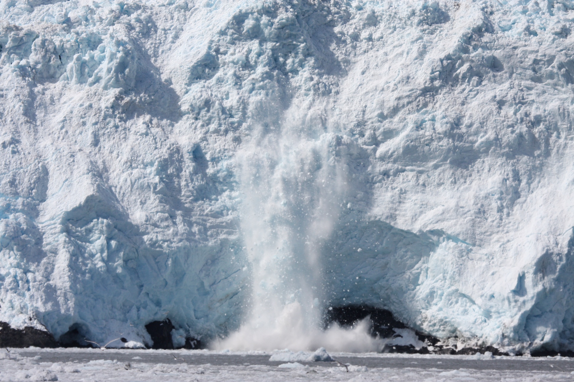 Free download high resolution image - free image free photo free stock image public domain picture -Kenai Fjords National Park calving glacier