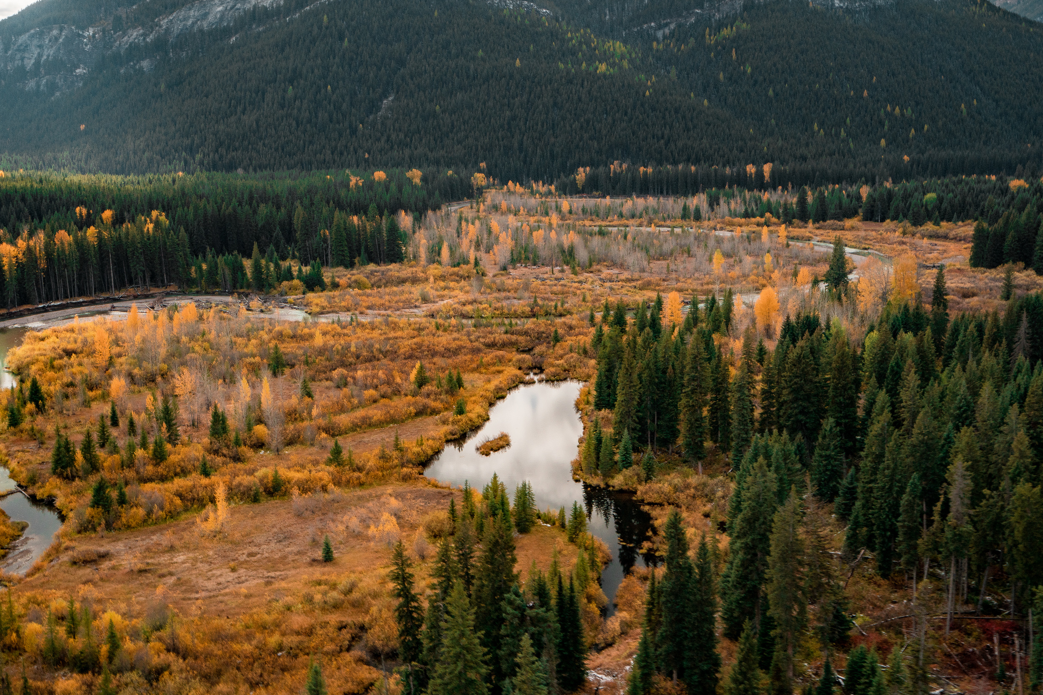 Free download high resolution image - free image free photo free stock image public domain picture -Flathead National Forest in Montana