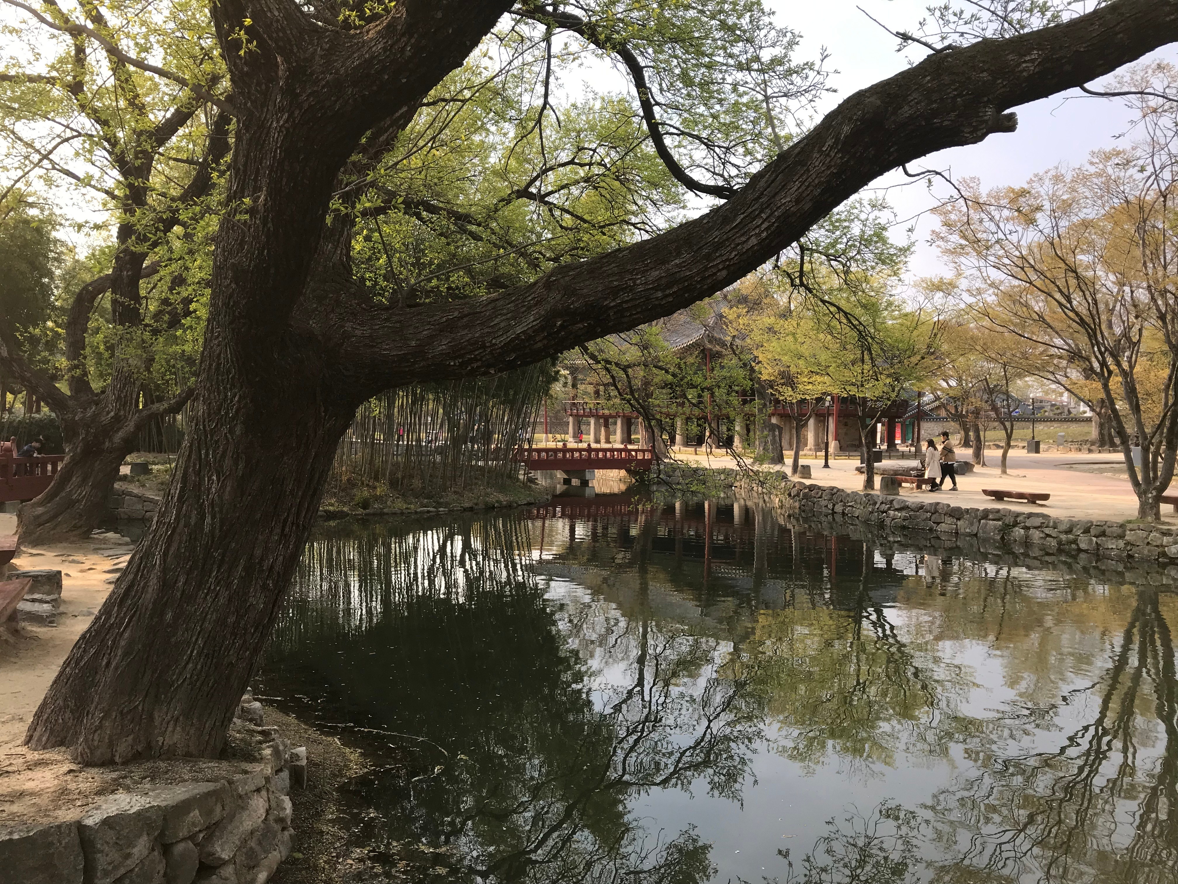 Free download high resolution image - free image free photo free stock image public domain picture -Gwanghallu Pavilion