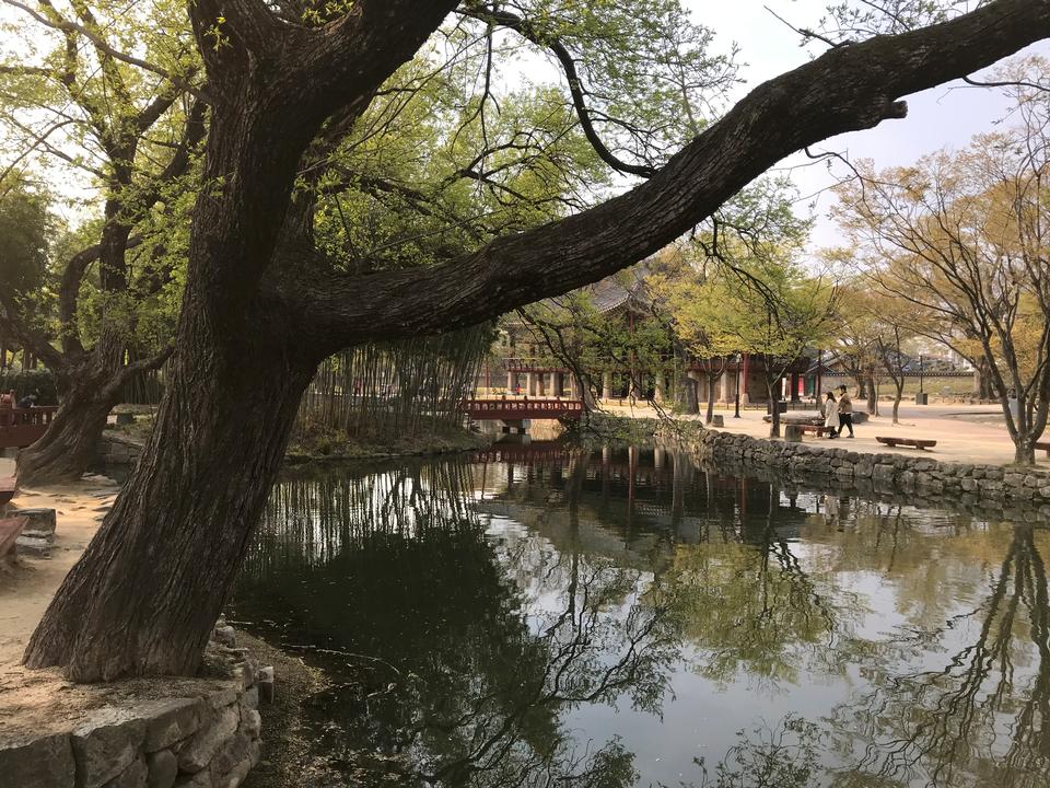 Free download high resolution image - free image free photo free stock image public domain picture  Gwanghallu Pavilion