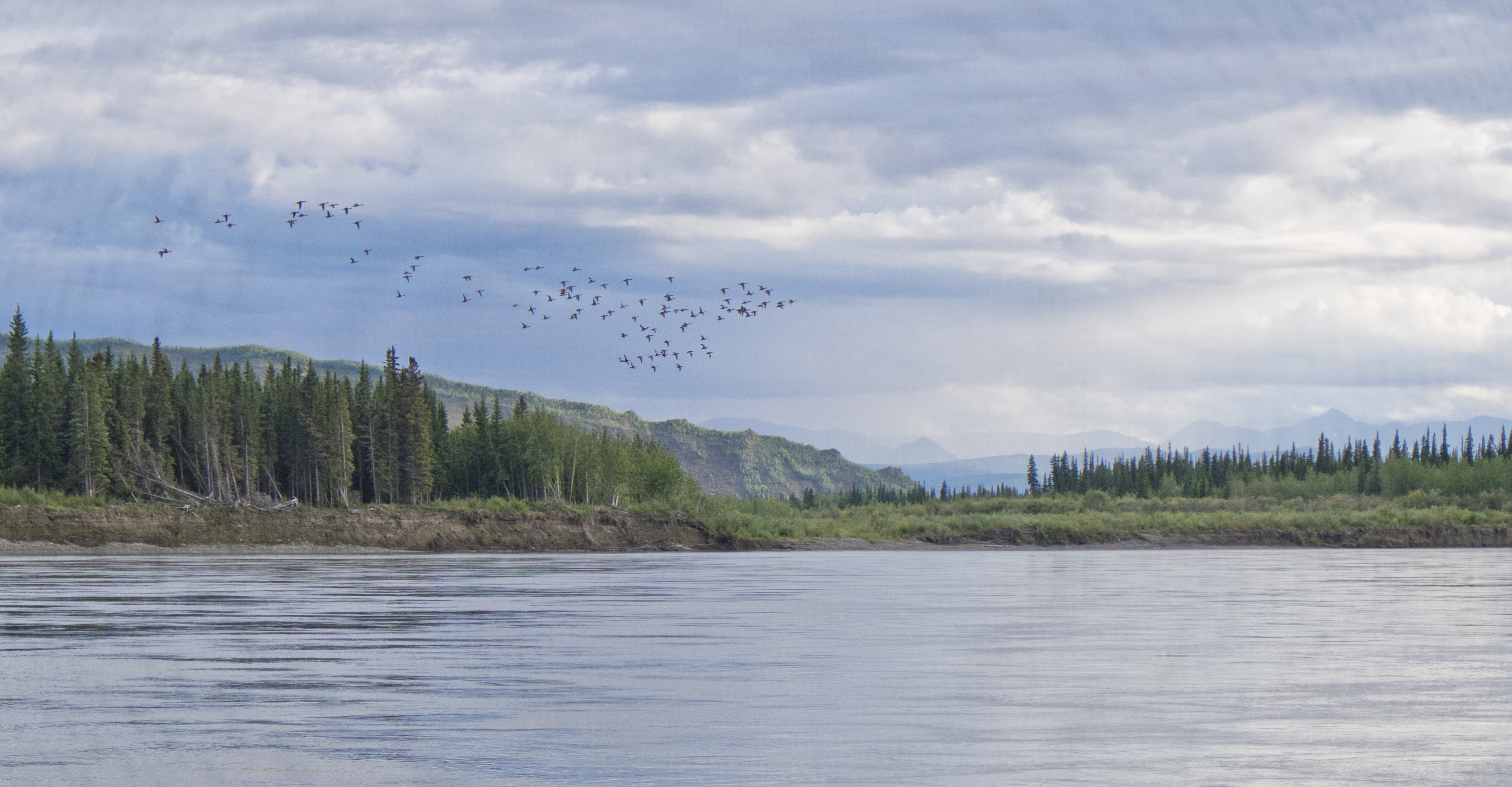 Free download high resolution image - free image free photo free stock image public domain picture -Yukon Charley Rivers National Preserve