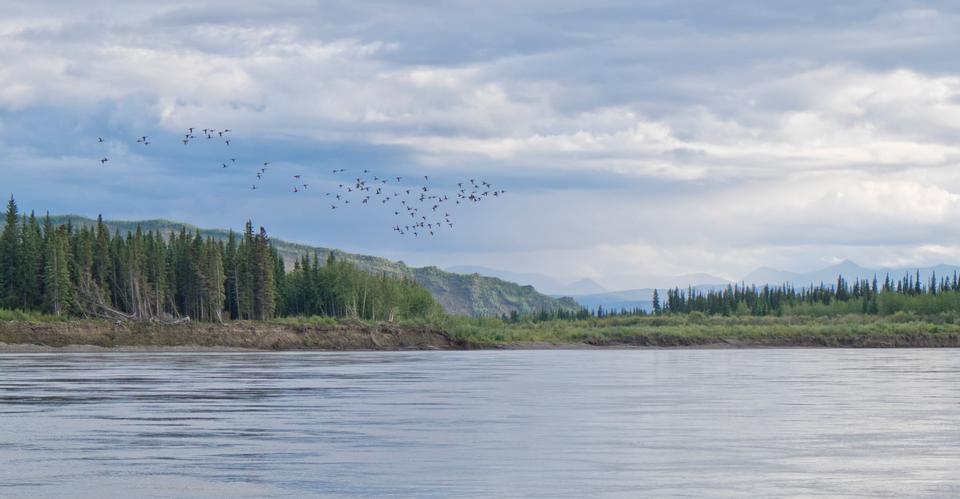 Free download high resolution image - free image free photo free stock image public domain picture  Yukon Charley Rivers National Preserve