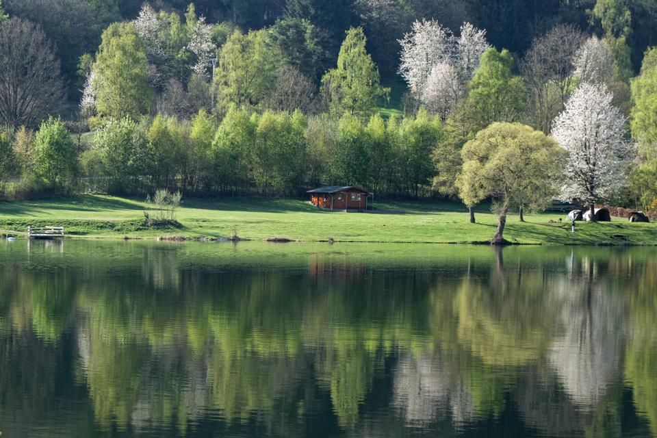 Free download high resolution image - free image free photo free stock image public domain picture  Mountain forest lake reflection landscape