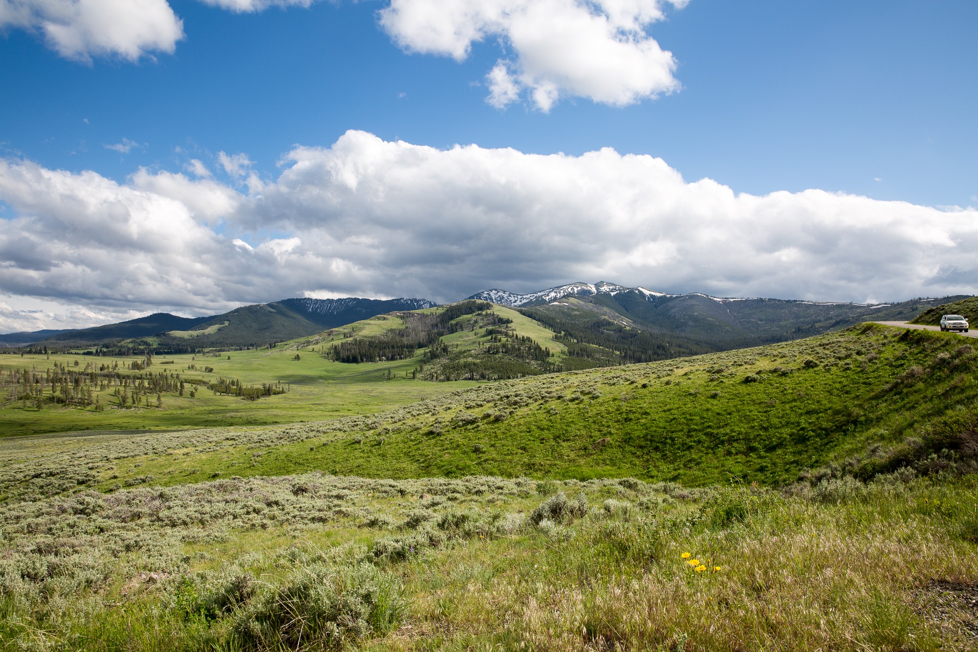 Free download high resolution image - free image free photo free stock image public domain picture -Mount Washburn Trail, Yellowstone National Park