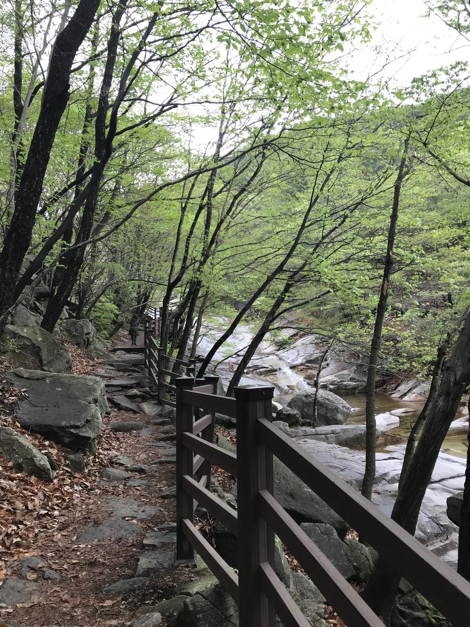 Free download high resolution image - free image free photo free stock image public domain picture  Gajisan state park in South Korea