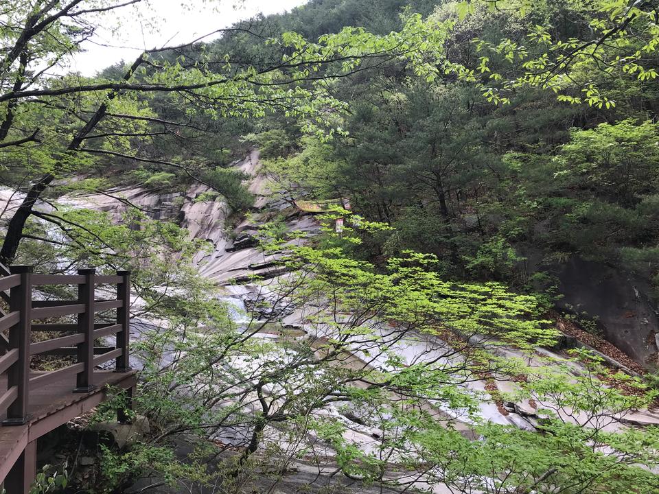 Free download high resolution image - free image free photo free stock image public domain picture  Gajisan state park in South Korea