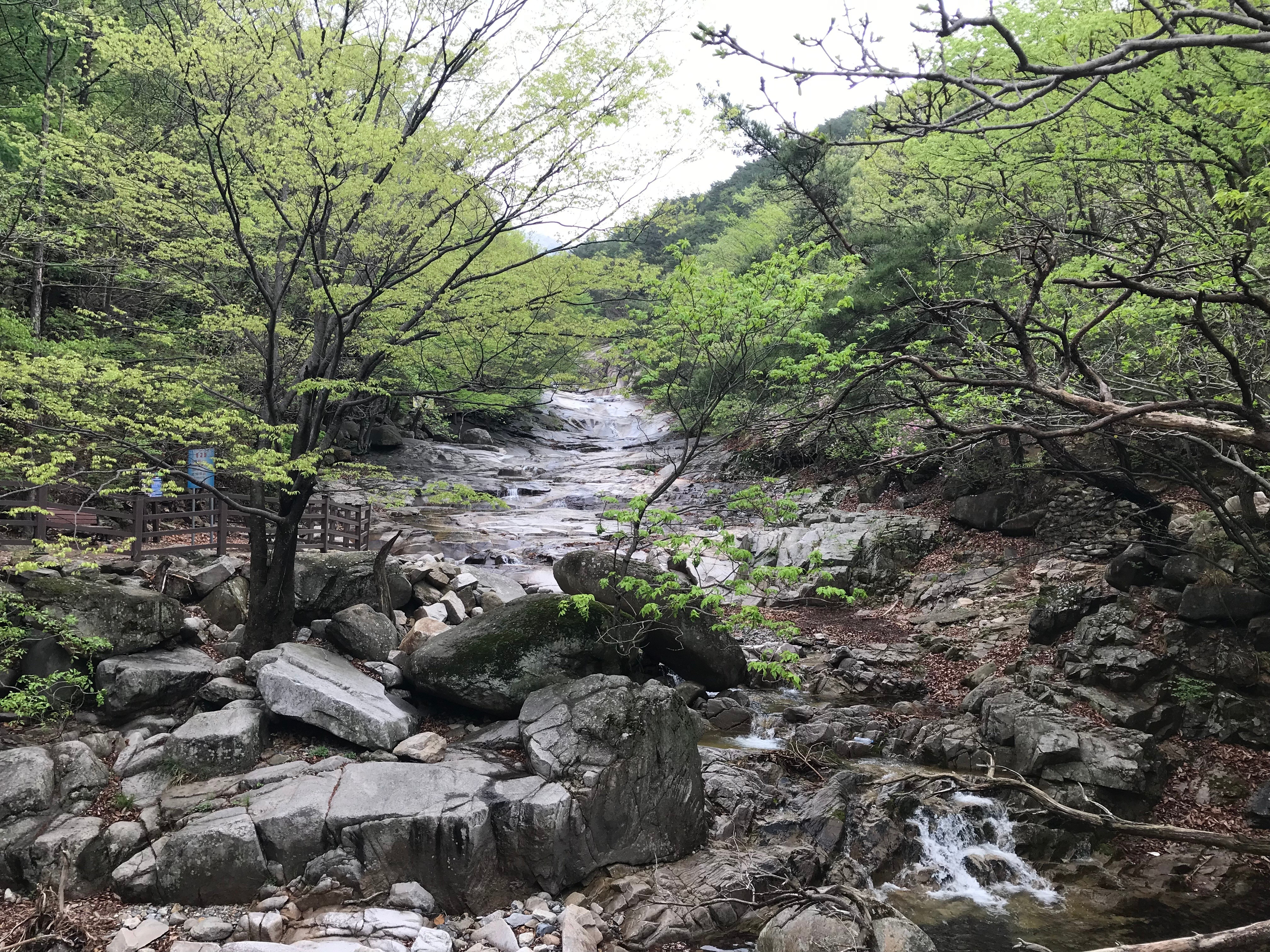 Free download high resolution image - free image free photo free stock image public domain picture -Gajisan state park in South Korea