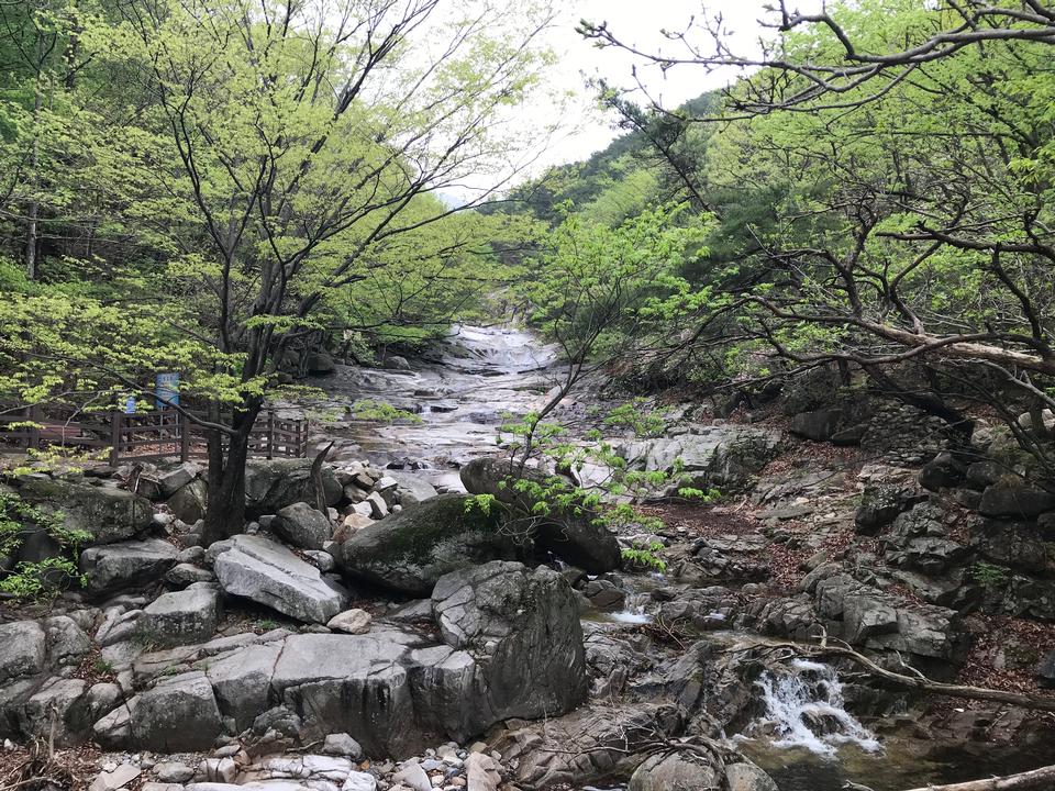 Free download high resolution image - free image free photo free stock image public domain picture  Gajisan state park in South Korea