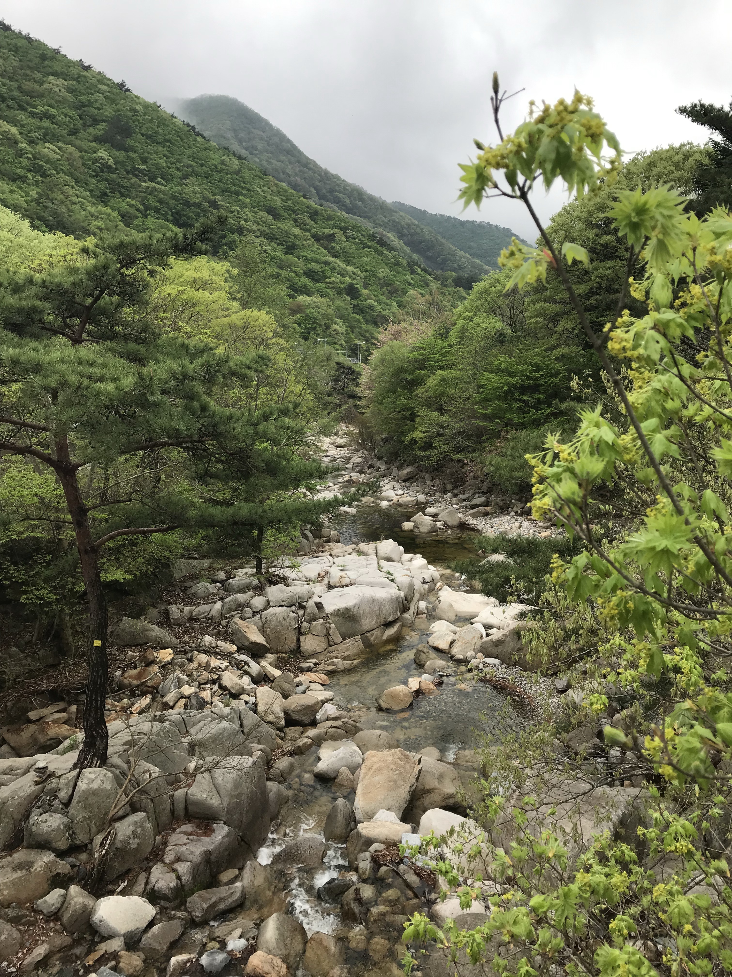 Free download high resolution image - free image free photo free stock image public domain picture -Gajisan state park in South Korea