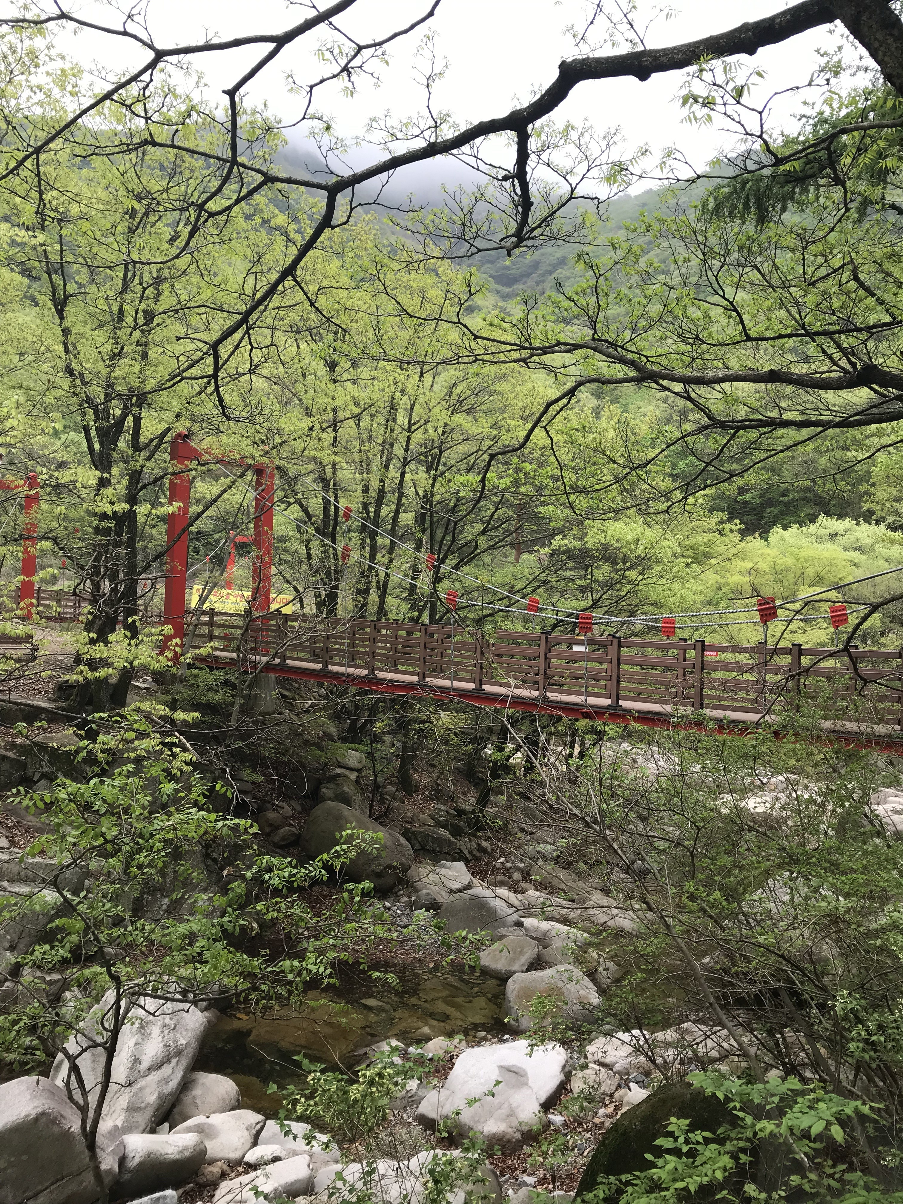 Free download high resolution image - free image free photo free stock image public domain picture -Gajisan state park in South Korea