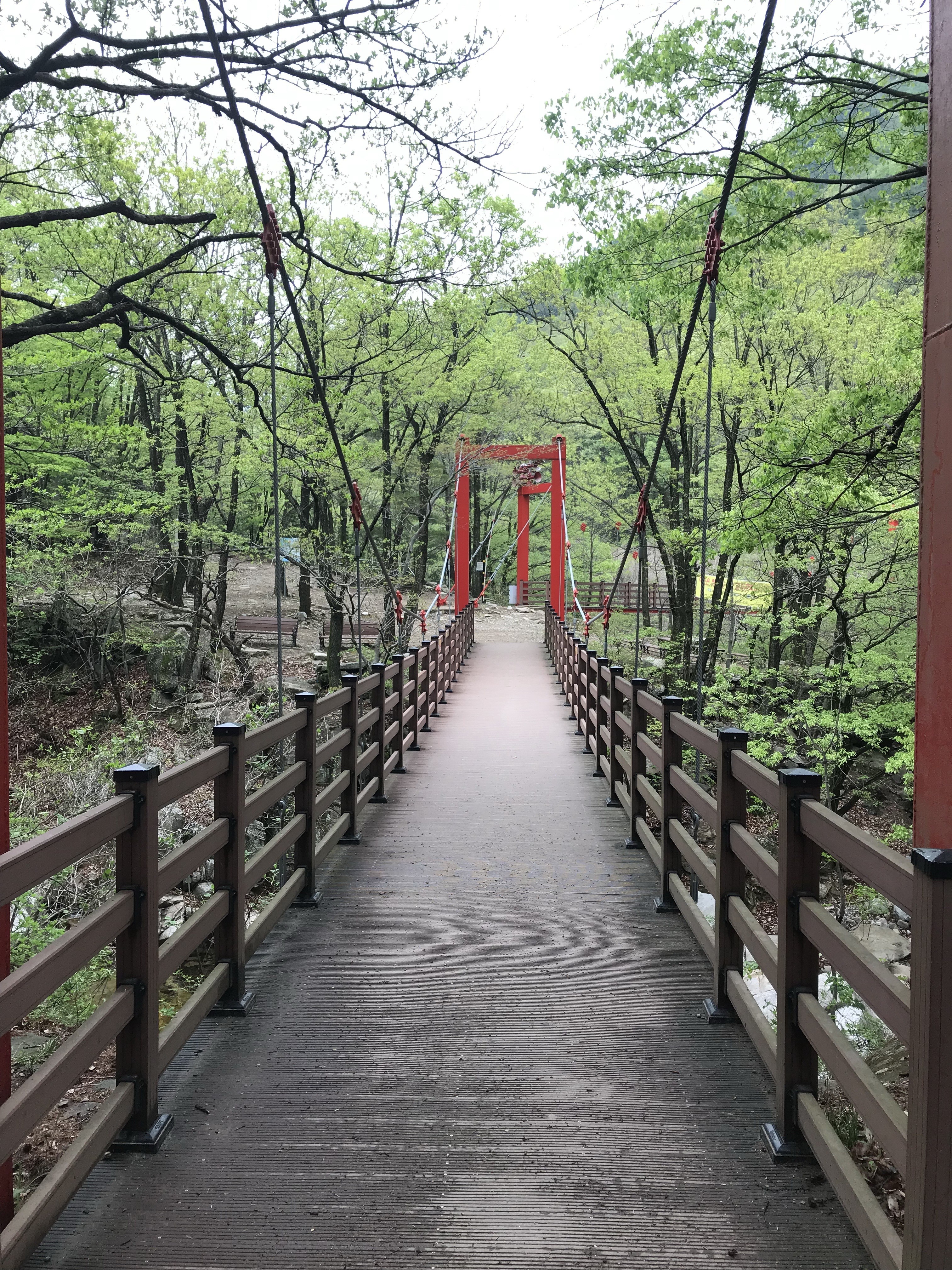 Free download high resolution image - free image free photo free stock image public domain picture -Gajisan state park in South Korea