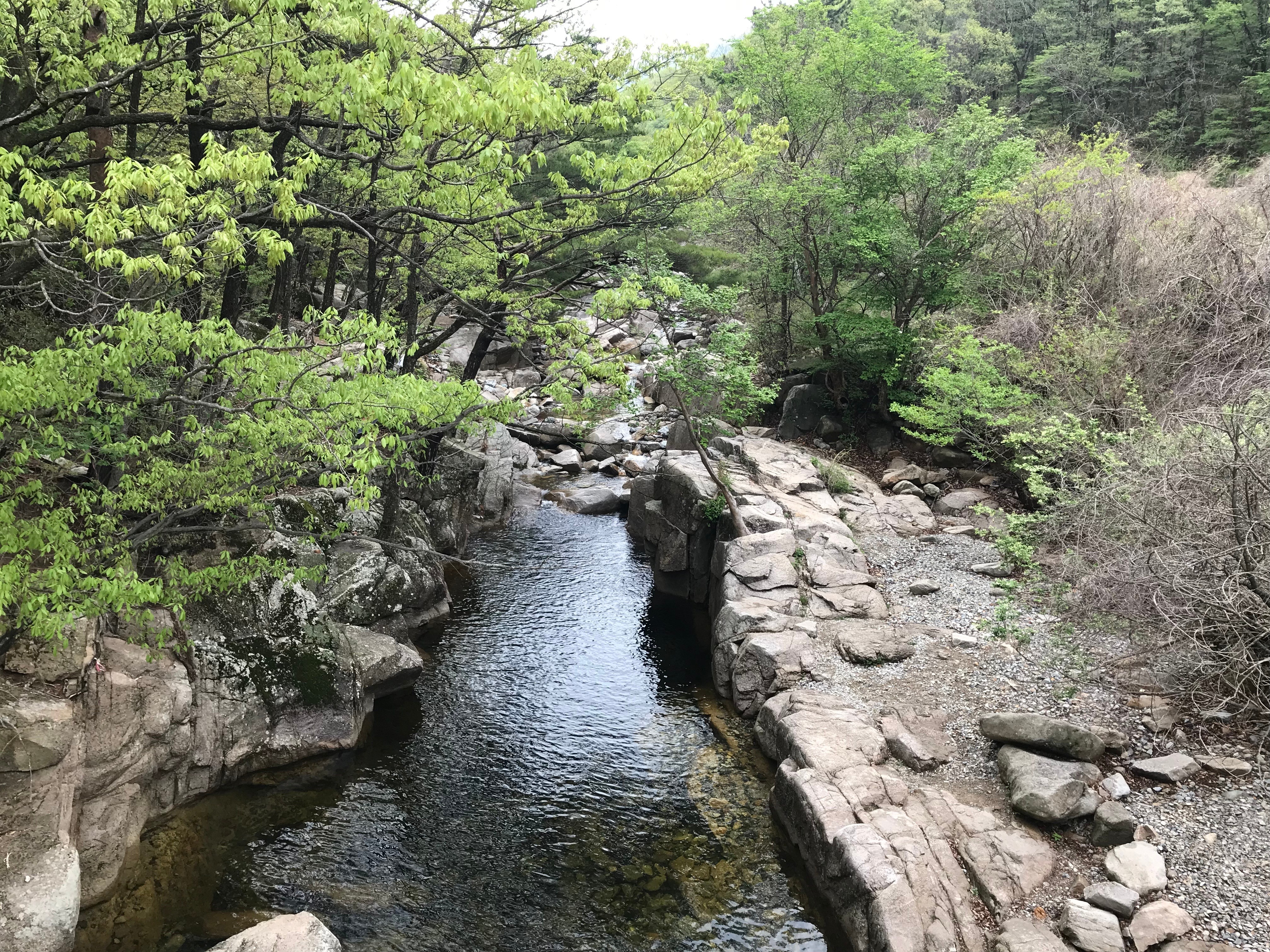 Free download high resolution image - free image free photo free stock image public domain picture -Gajisan state park in South Korea