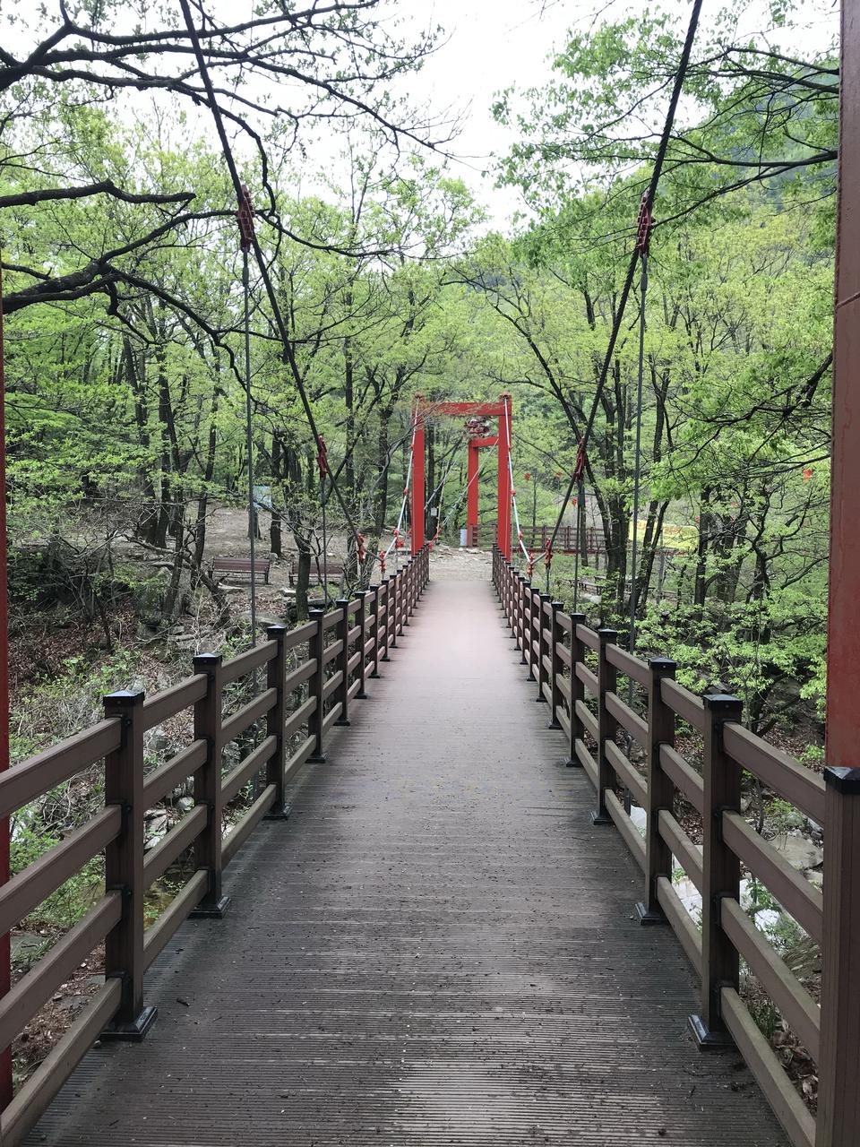 Free download high resolution image - free image free photo free stock image public domain picture  Gajisan state park in South Korea