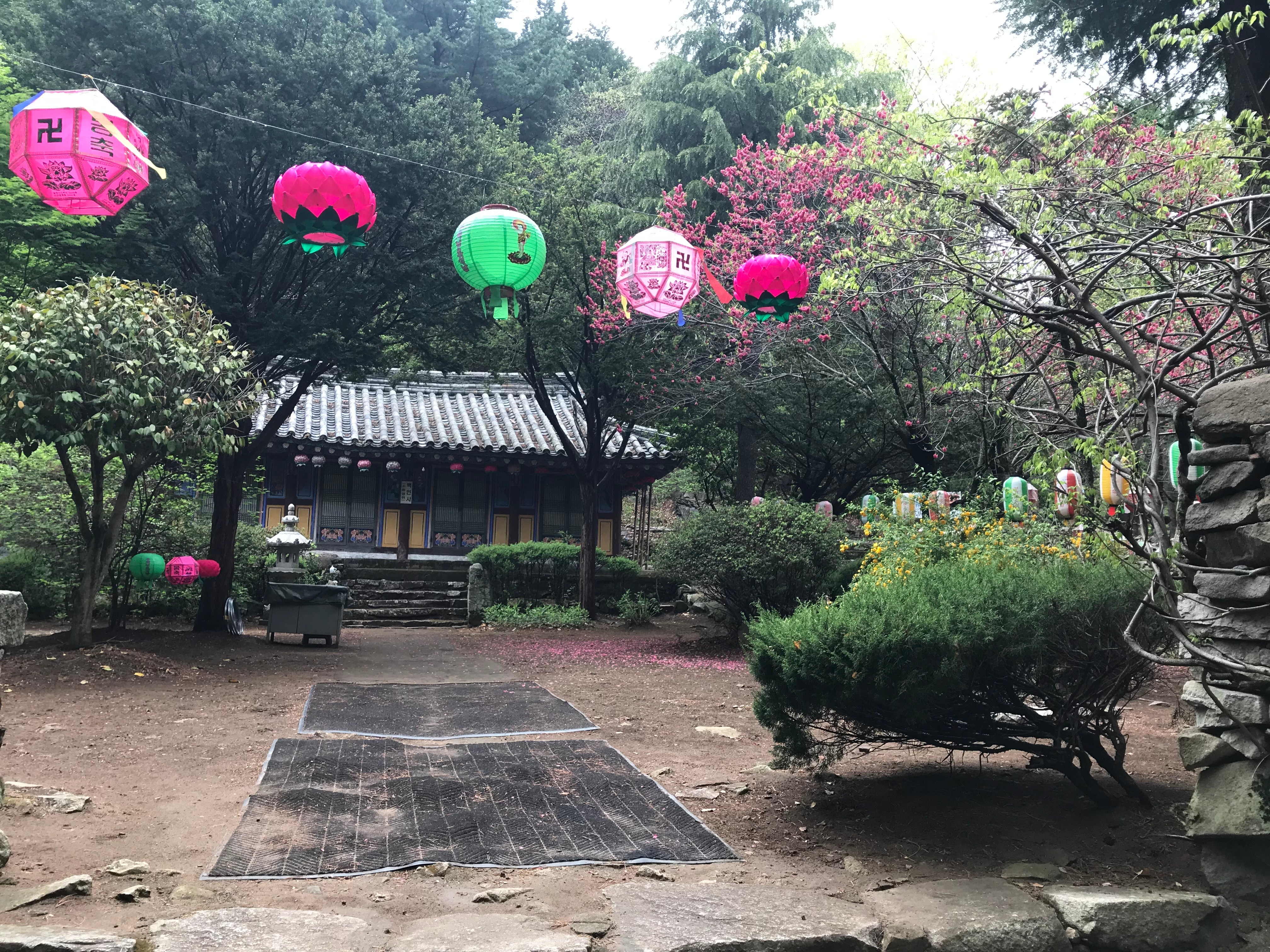 Free download high resolution image - free image free photo free stock image public domain picture -Gajisan state park in South Korea