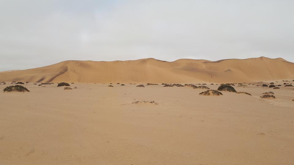 Free download high resolution image - free image free photo free stock image public domain picture  Dorob National Park, Swakopmund, Namibia