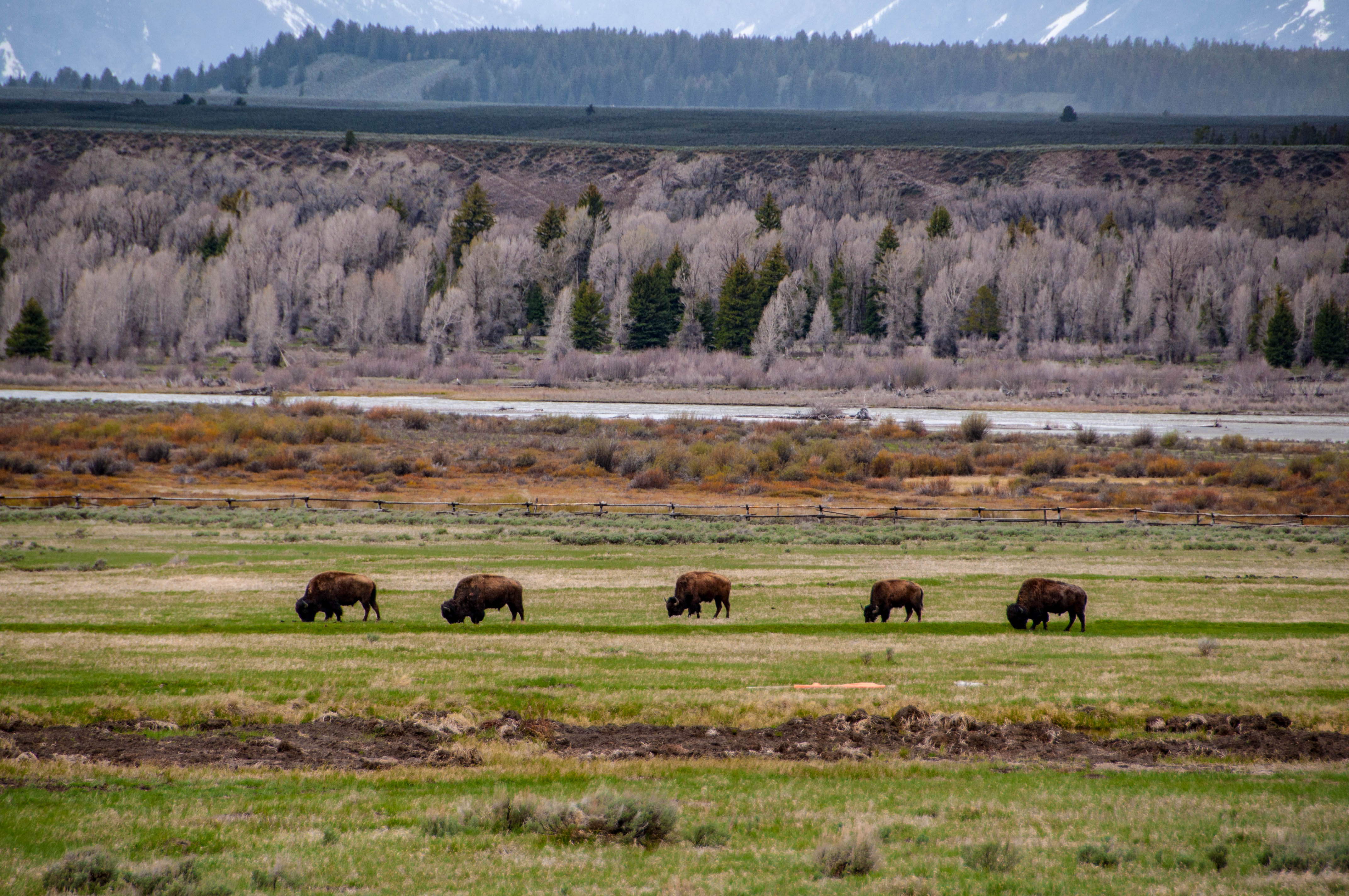 Free download high resolution image - free image free photo free stock image public domain picture -Grand Teton National Park