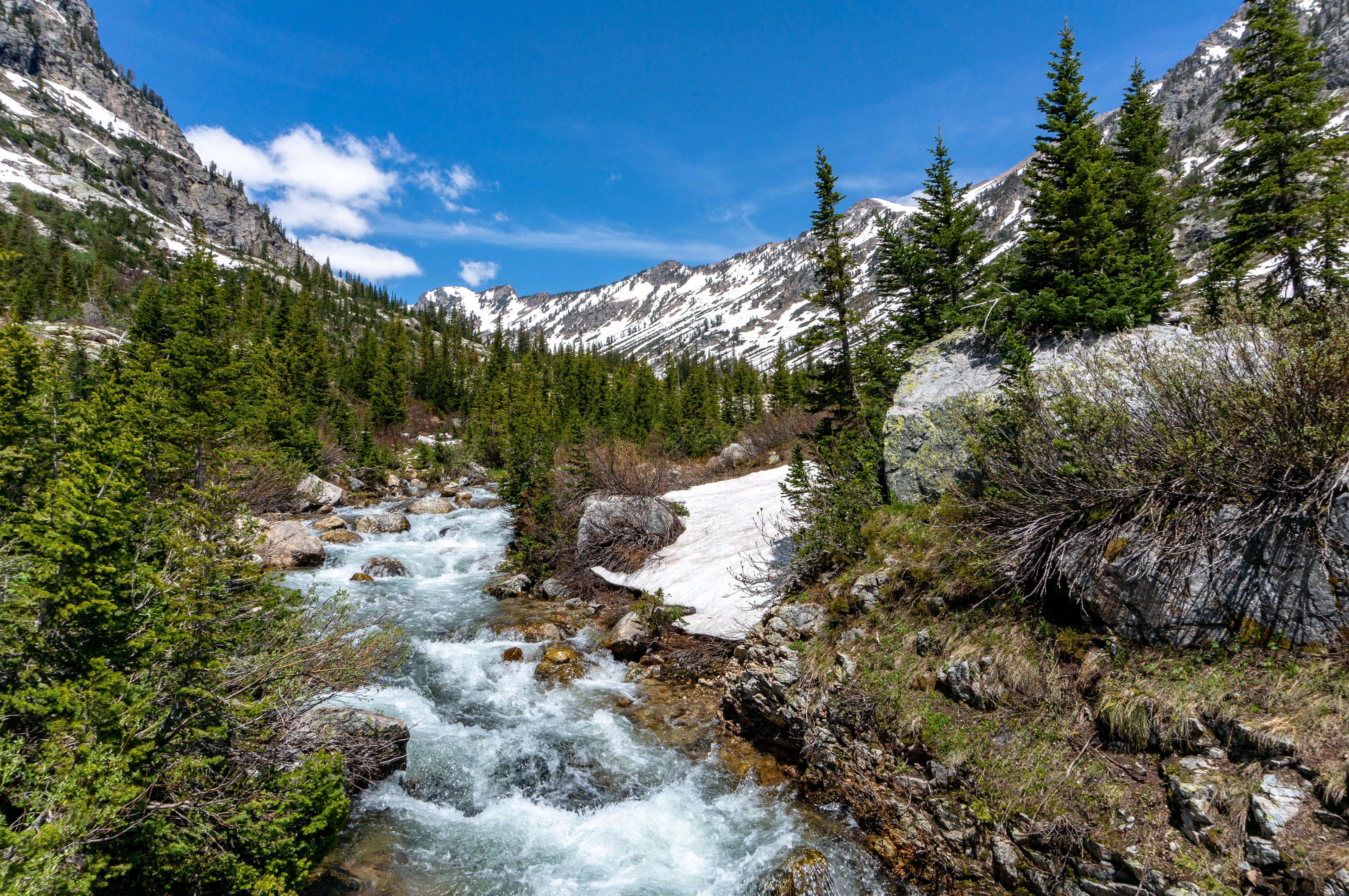 Free download high resolution image - free image free photo free stock image public domain picture -Grand Teton National Park