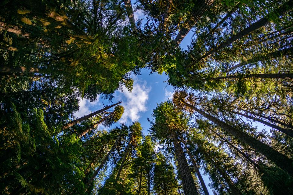 Free download high resolution image - free image free photo free stock image public domain picture  Olympic National Park