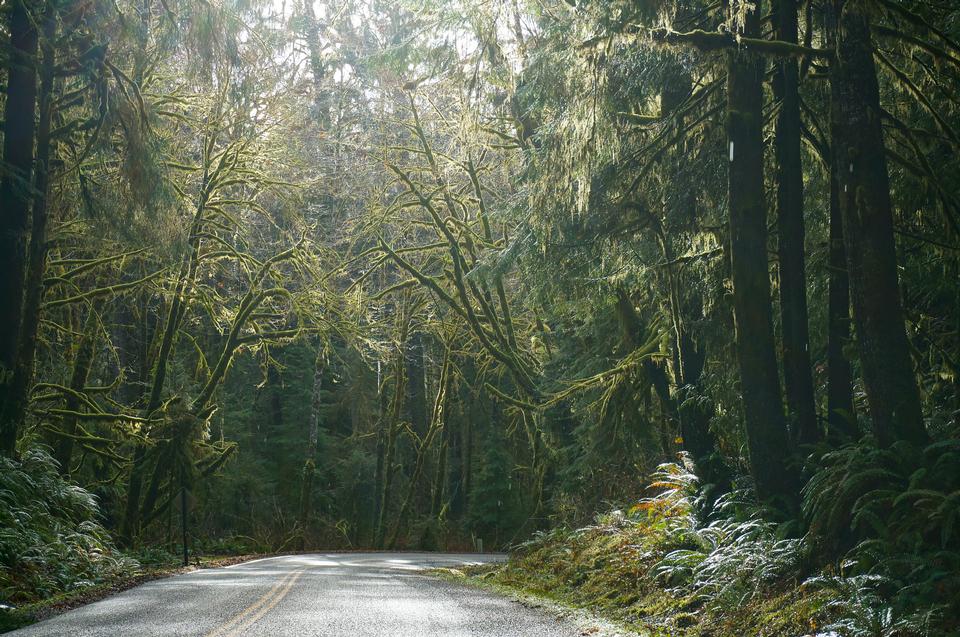 Free download high resolution image - free image free photo free stock image public domain picture  Olympic National Park