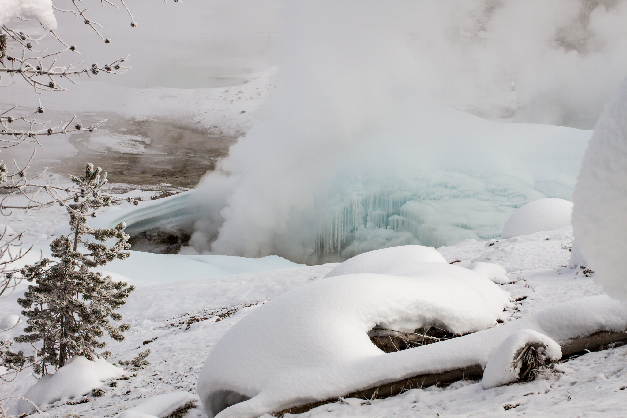 Free download high resolution image - free image free photo free stock image public domain picture -Yellowstone National Park