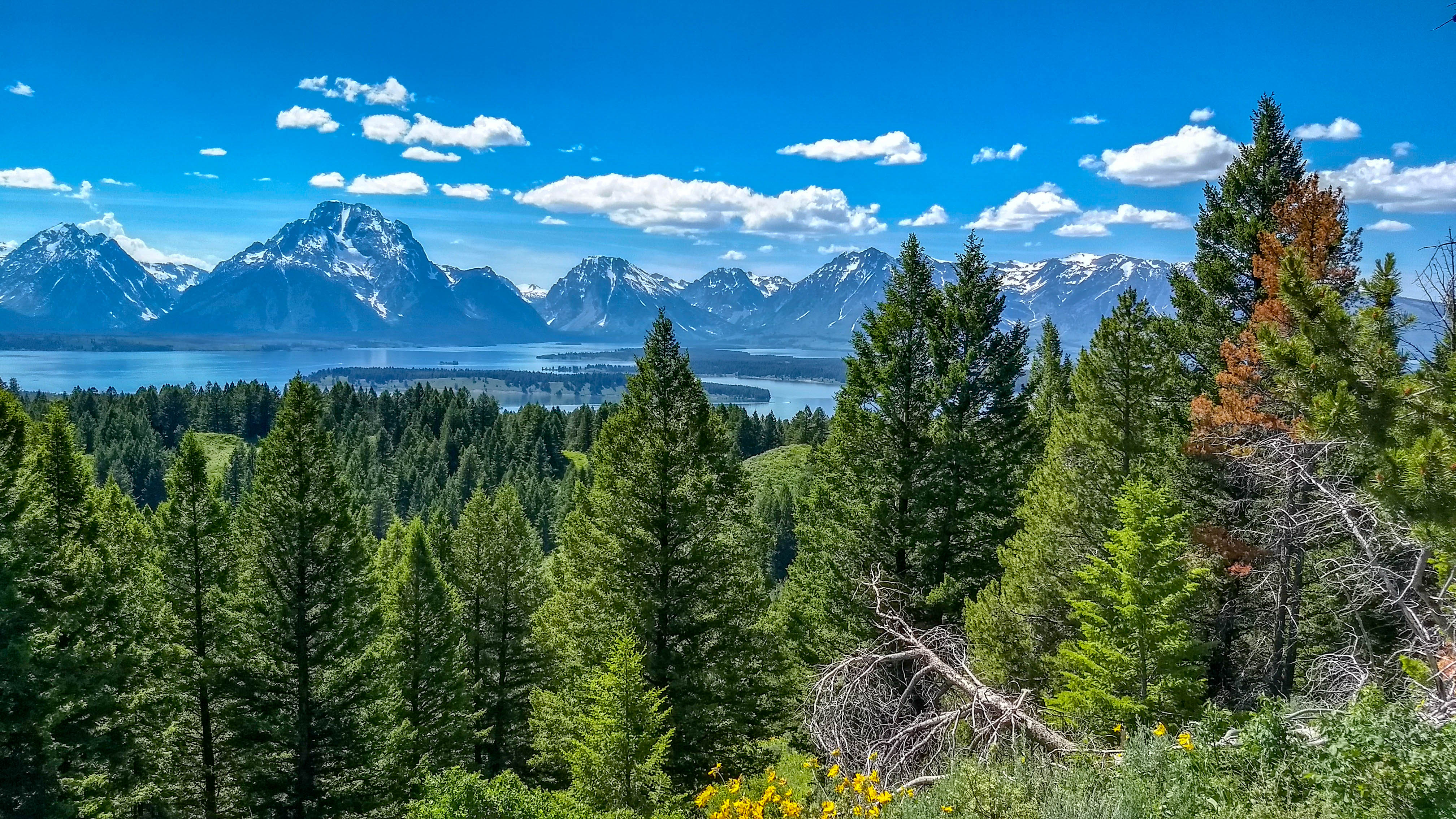 Free download high resolution image - free image free photo free stock image public domain picture -Jackson Lake, Yellowstone National Park