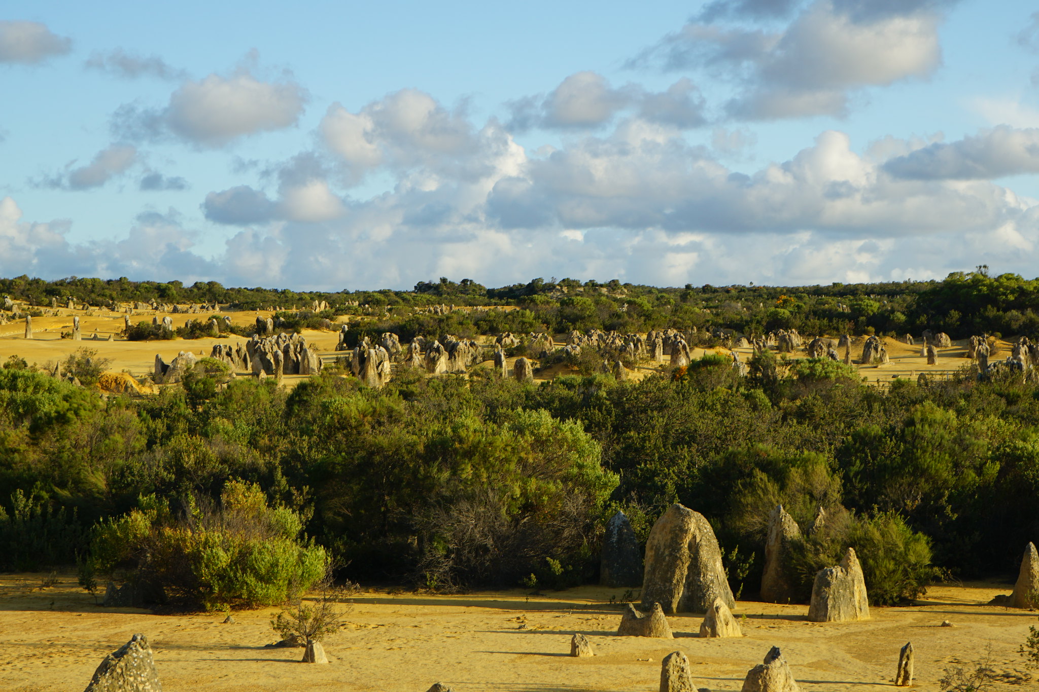 Free download high resolution image - free image free photo free stock image public domain picture -The Pinnacles National Park