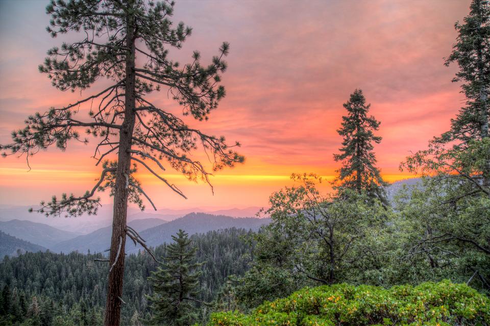 Free download high resolution image - free image free photo free stock image public domain picture  Sequoia National Park