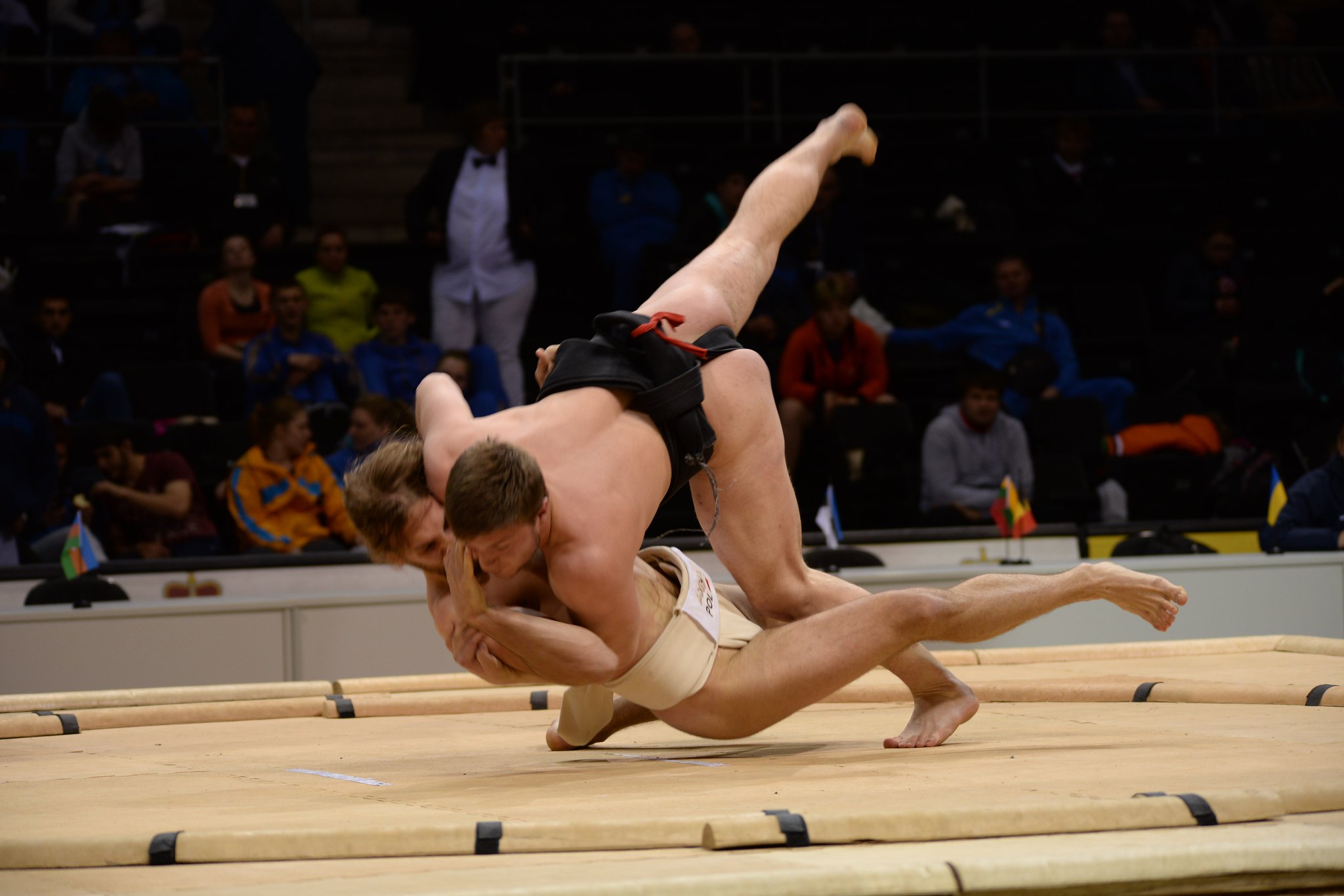 Free download high resolution image - free image free photo free stock image public domain picture -Amateur sumo wrestler