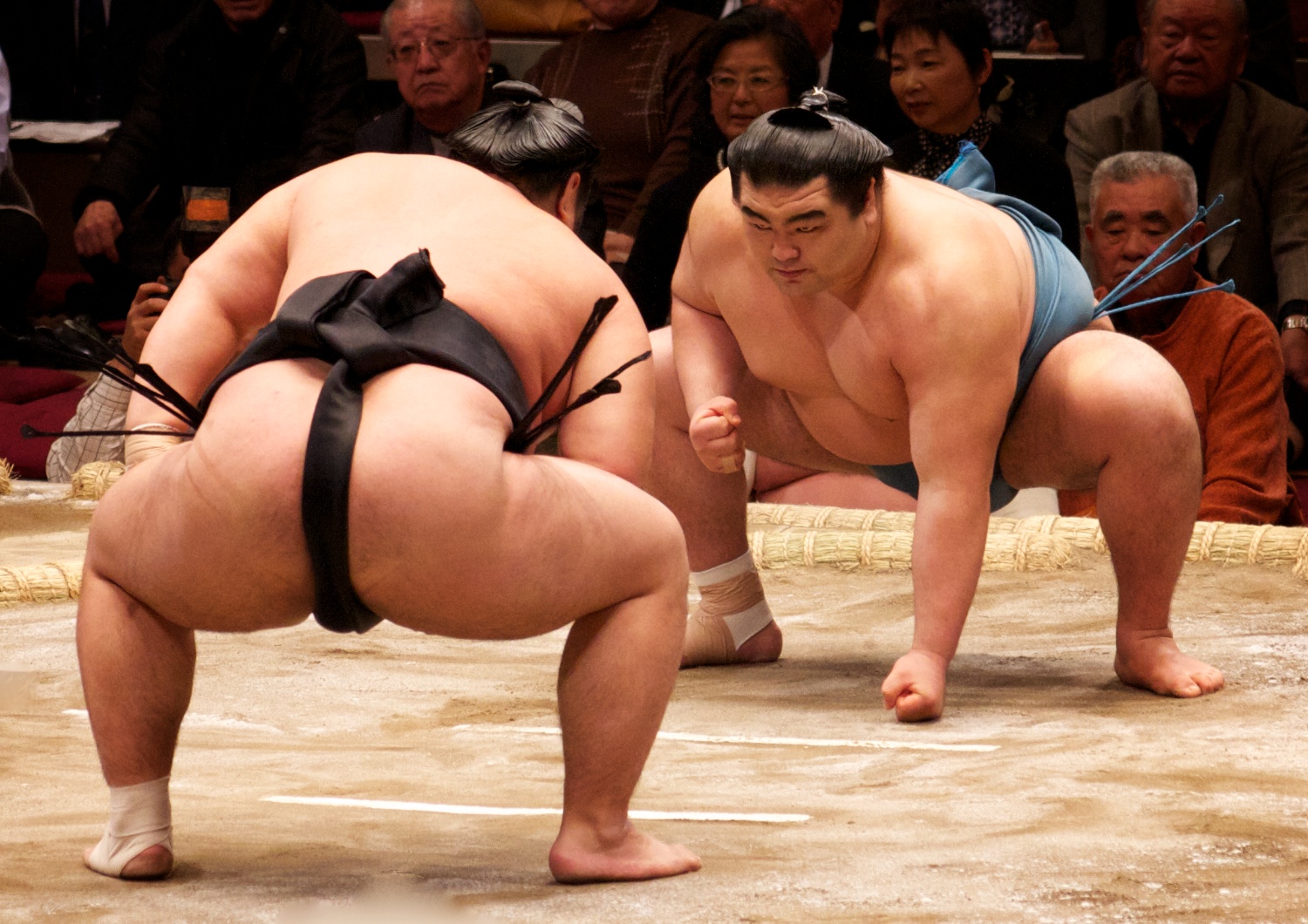 Free download high resolution image - free image free photo free stock image public domain picture -Japanese sumo wresler