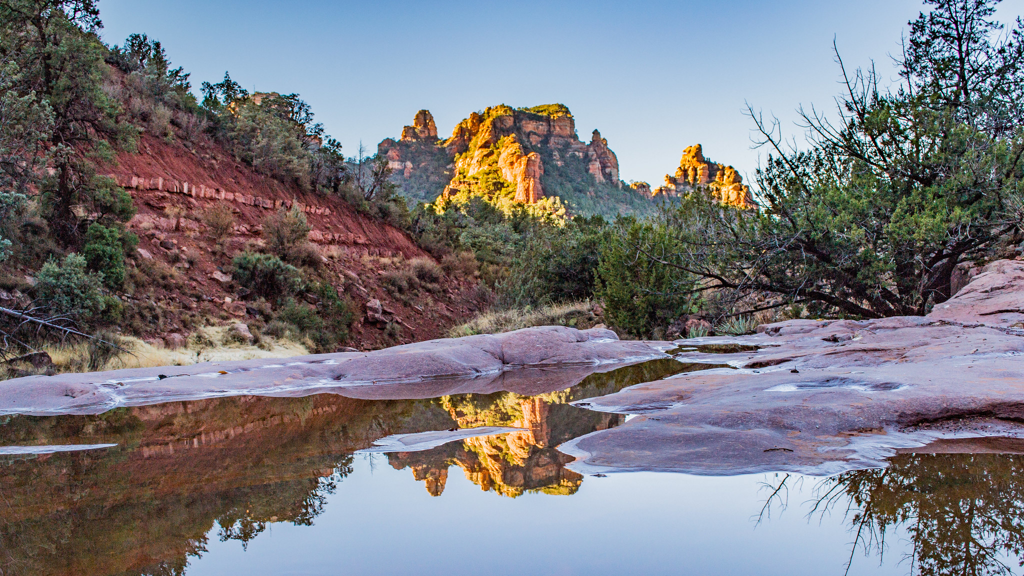 Free download high resolution image - free image free photo free stock image public domain picture -Coconino National Forest in Arizona