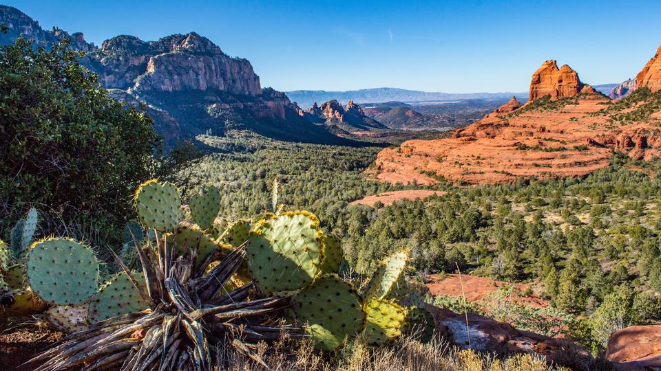 Free download high resolution image - free image free photo free stock image public domain picture  Coconino National Forest in Arizona