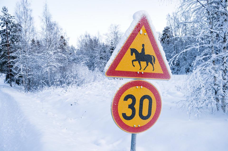 Free download high resolution image - free image free photo free stock image public domain picture  traffic sign horses