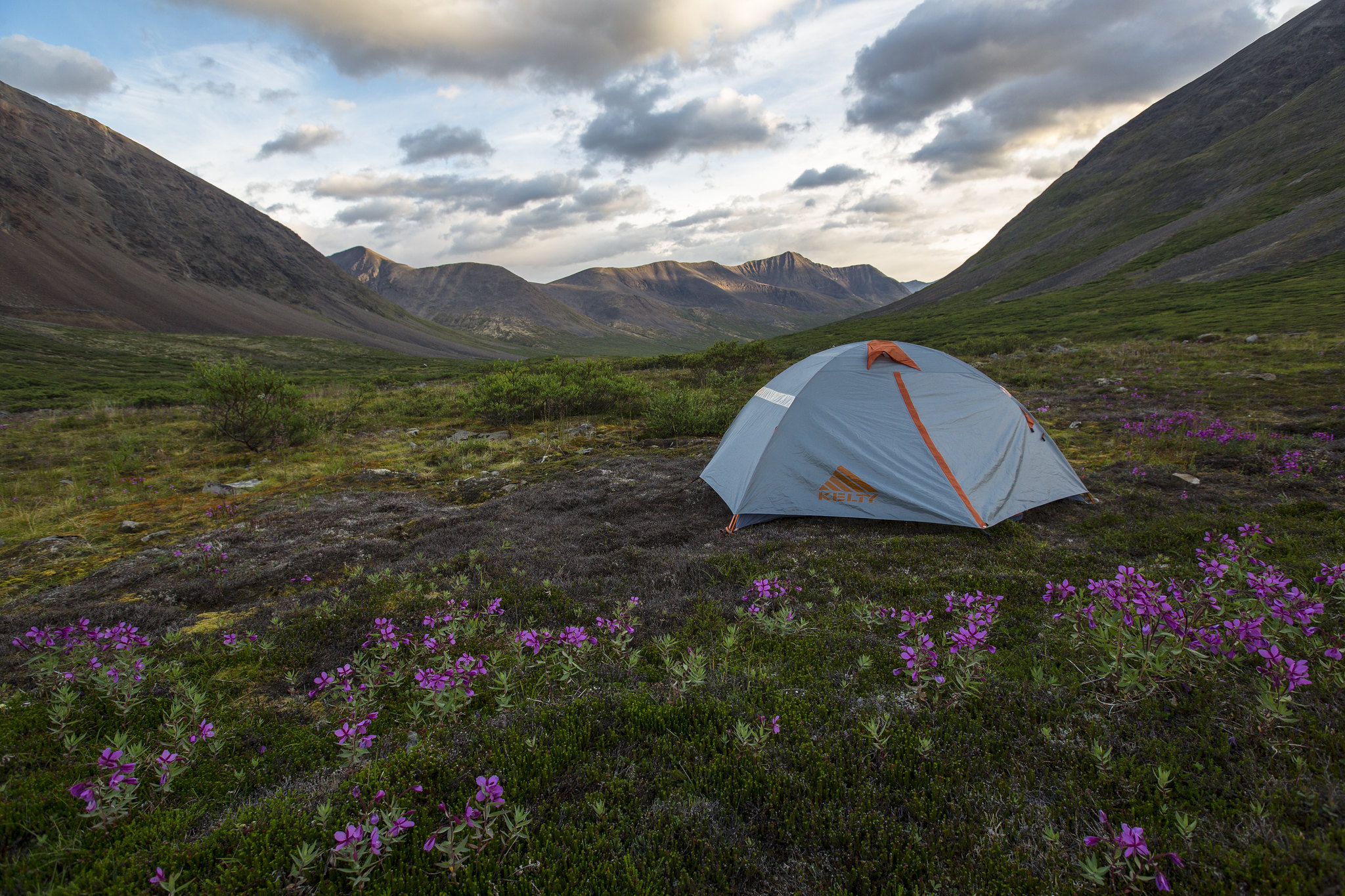 Free download high resolution image - free image free photo free stock image public domain picture -Camping in the meadow