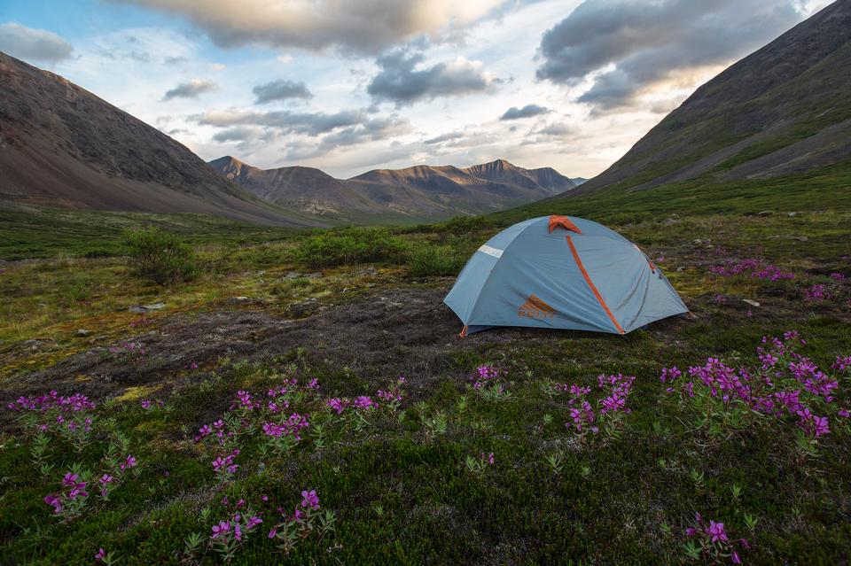 Free download high resolution image - free image free photo free stock image public domain picture  Camping in the meadow