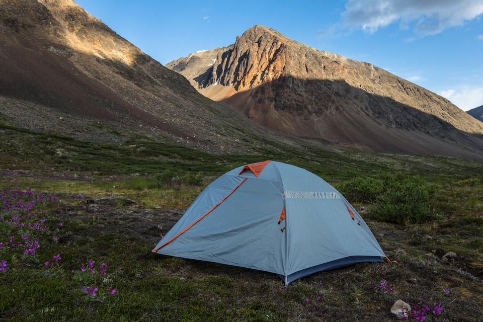 Free download high resolution image - free image free photo free stock image public domain picture  Camping in the meadow