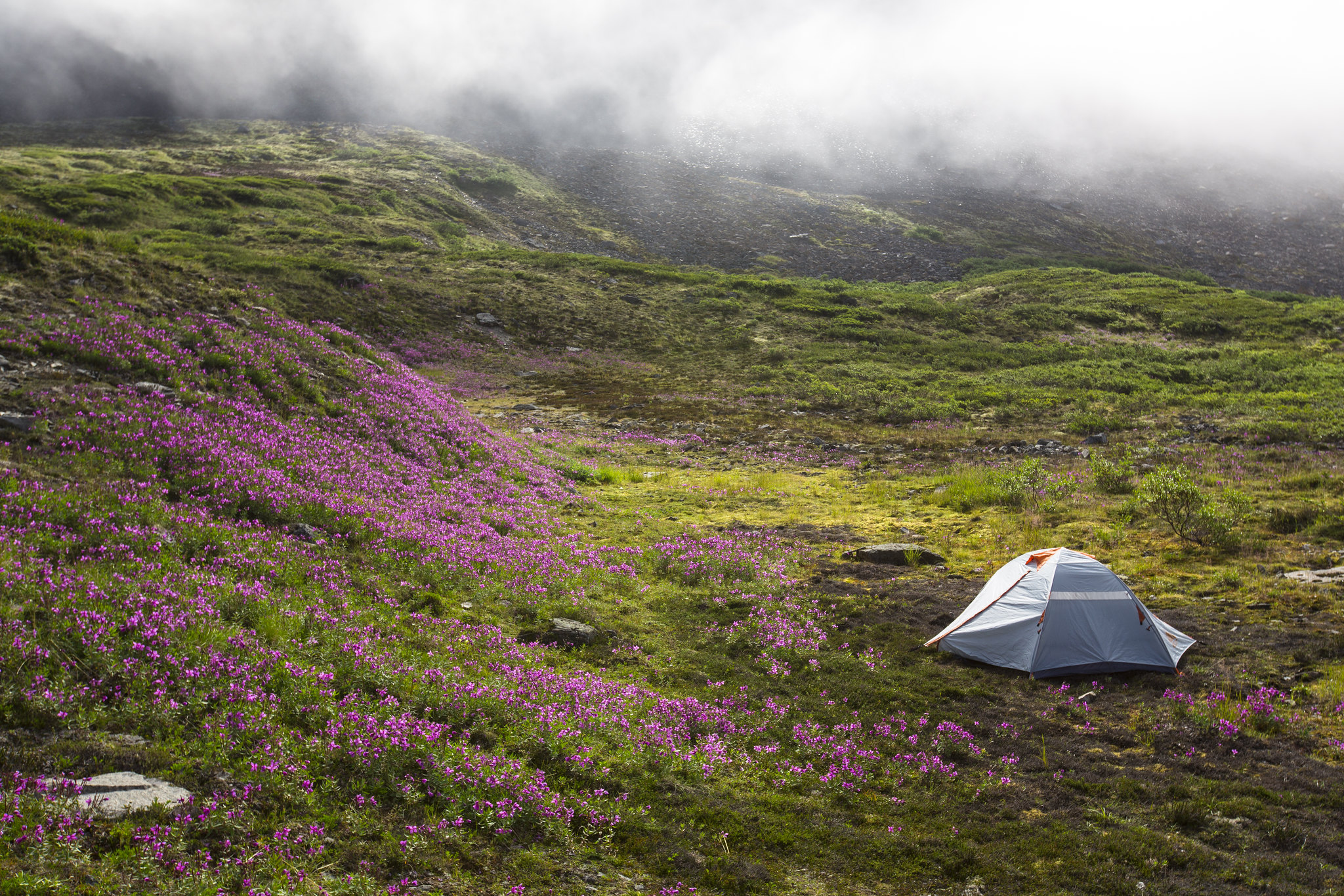 Free download high resolution image - free image free photo free stock image public domain picture -Camping in the Fog