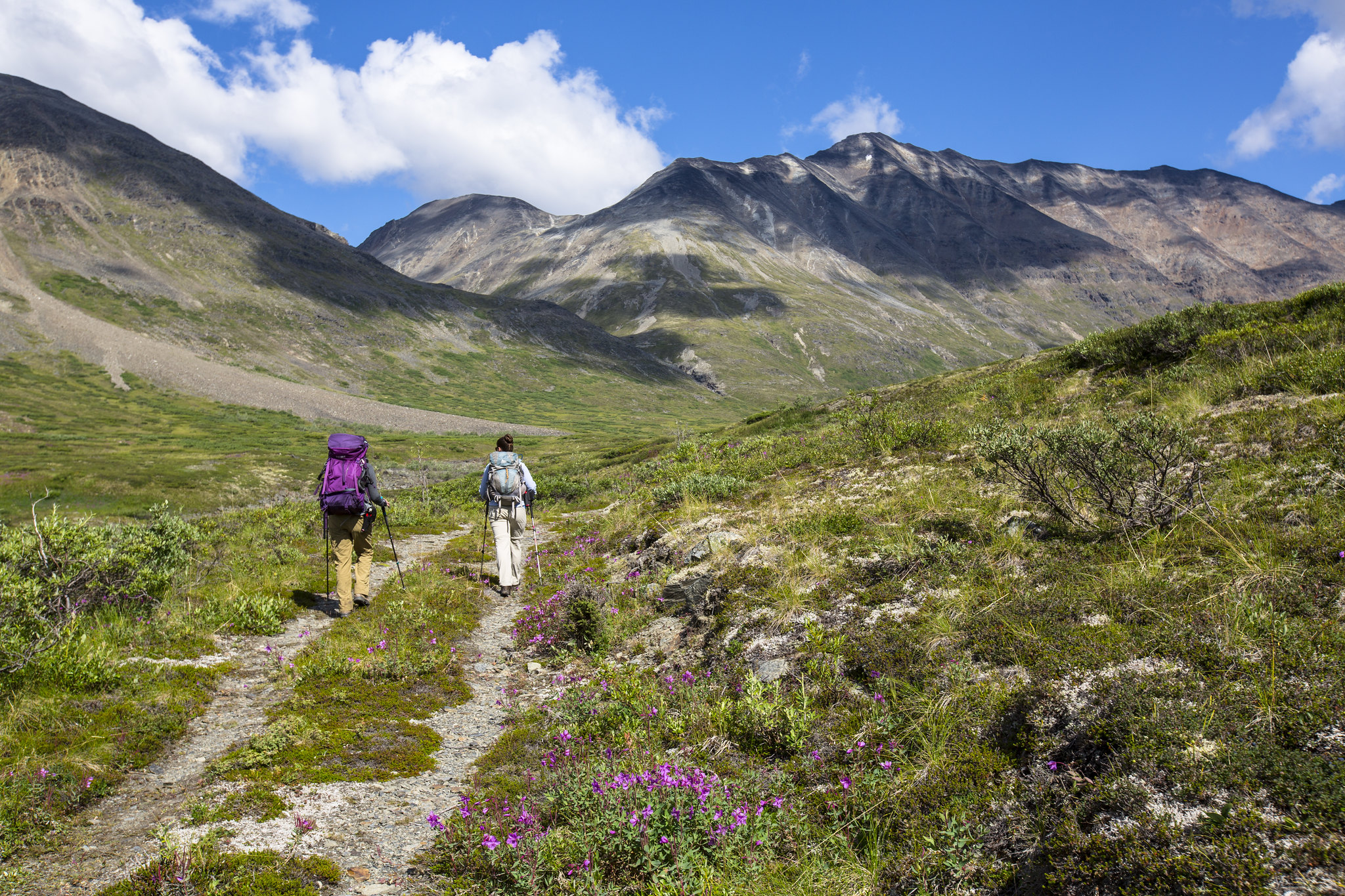 Free download high resolution image - free image free photo free stock image public domain picture -Hiking from the Landing Strip Alaska