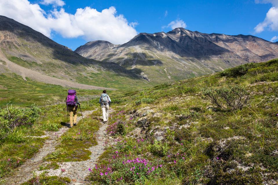 Free download high resolution image - free image free photo free stock image public domain picture  Hiking from the Landing Strip Alaska