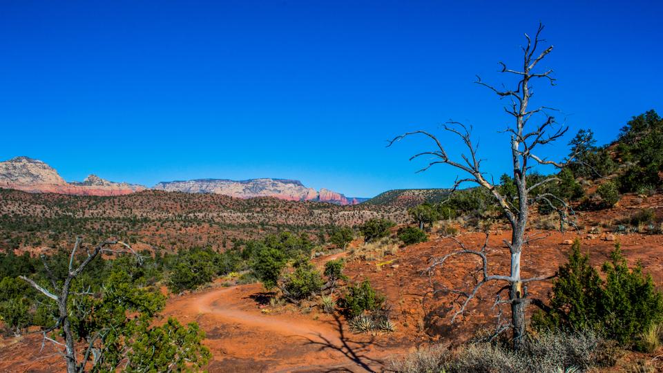 Free download high resolution image - free image free photo free stock image public domain picture  Coconino National Forest in Arizona