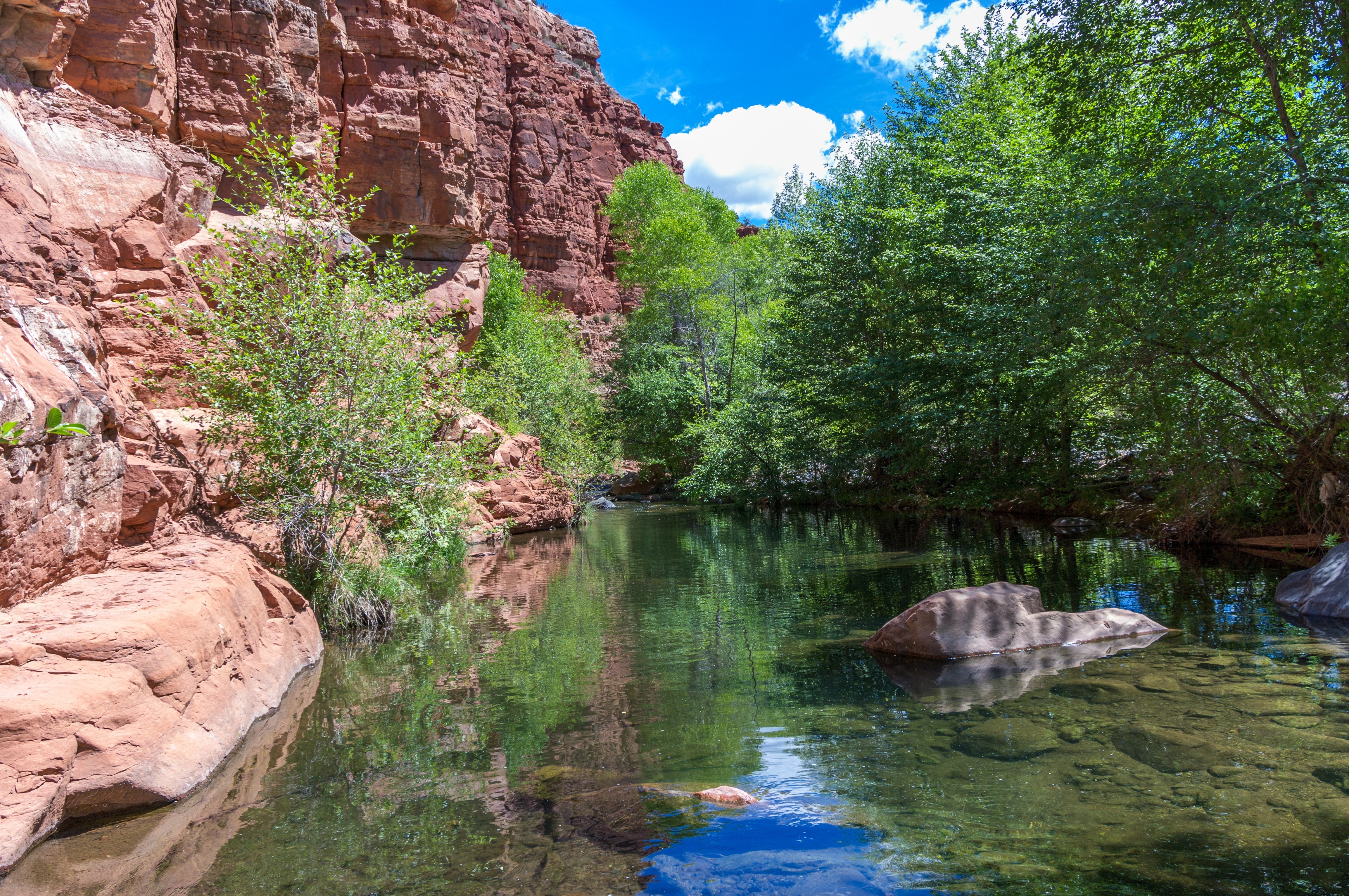 Free download high resolution image - free image free photo free stock image public domain picture -Coconino National Forest in Arizona