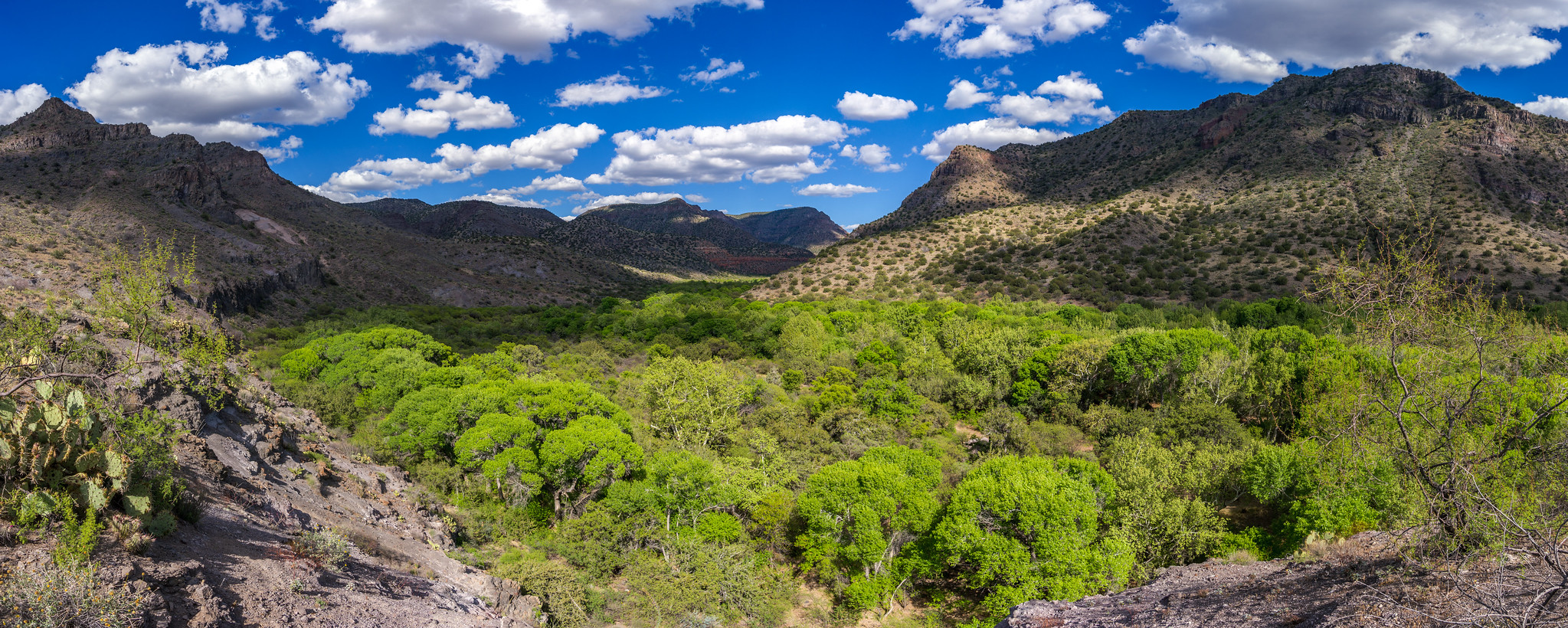 Free download high resolution image - free image free photo free stock image public domain picture -Coconino National Forest in Arizona