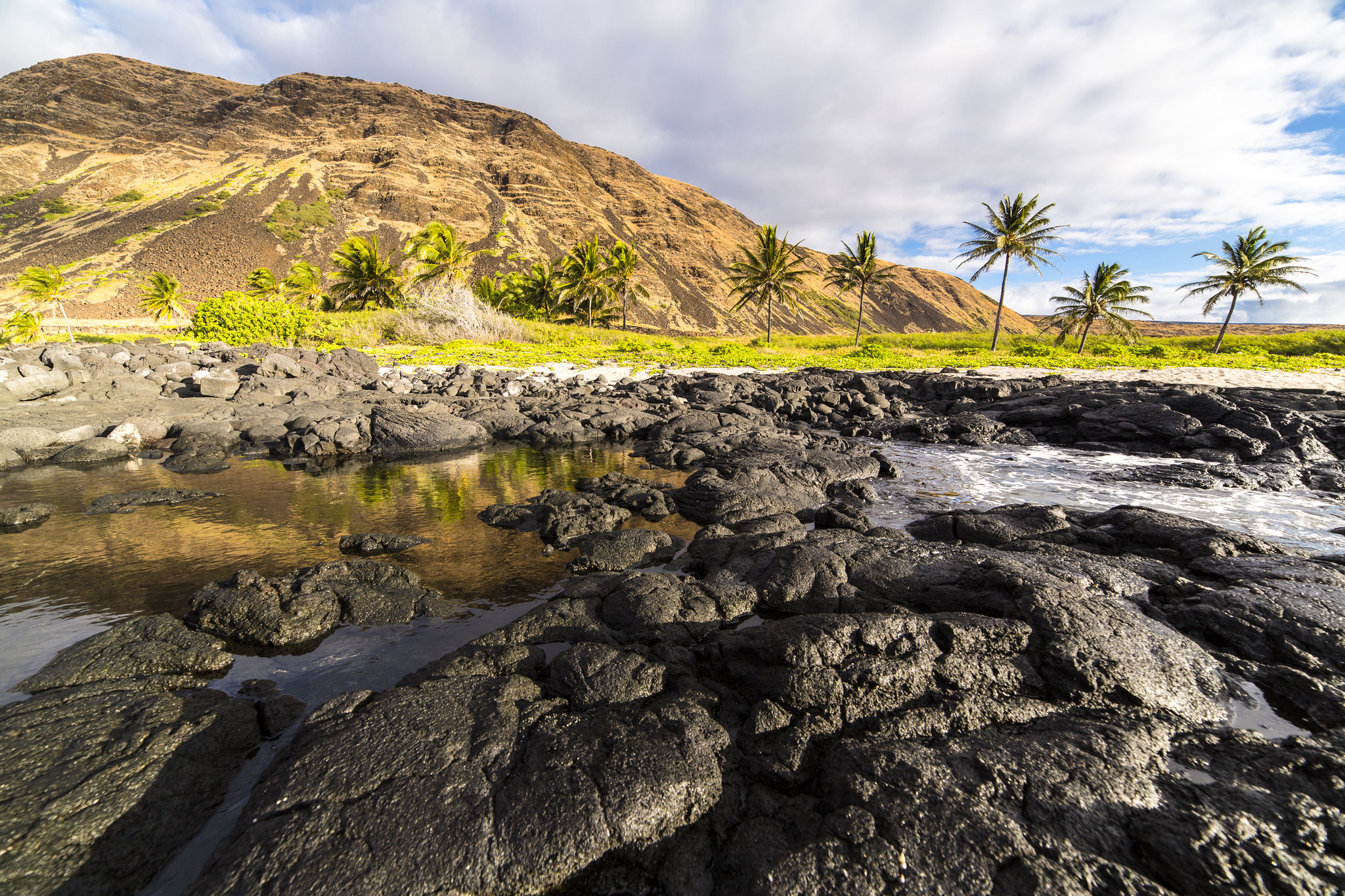 Free download high resolution image - free image free photo free stock image public domain picture -Halape Tidepool