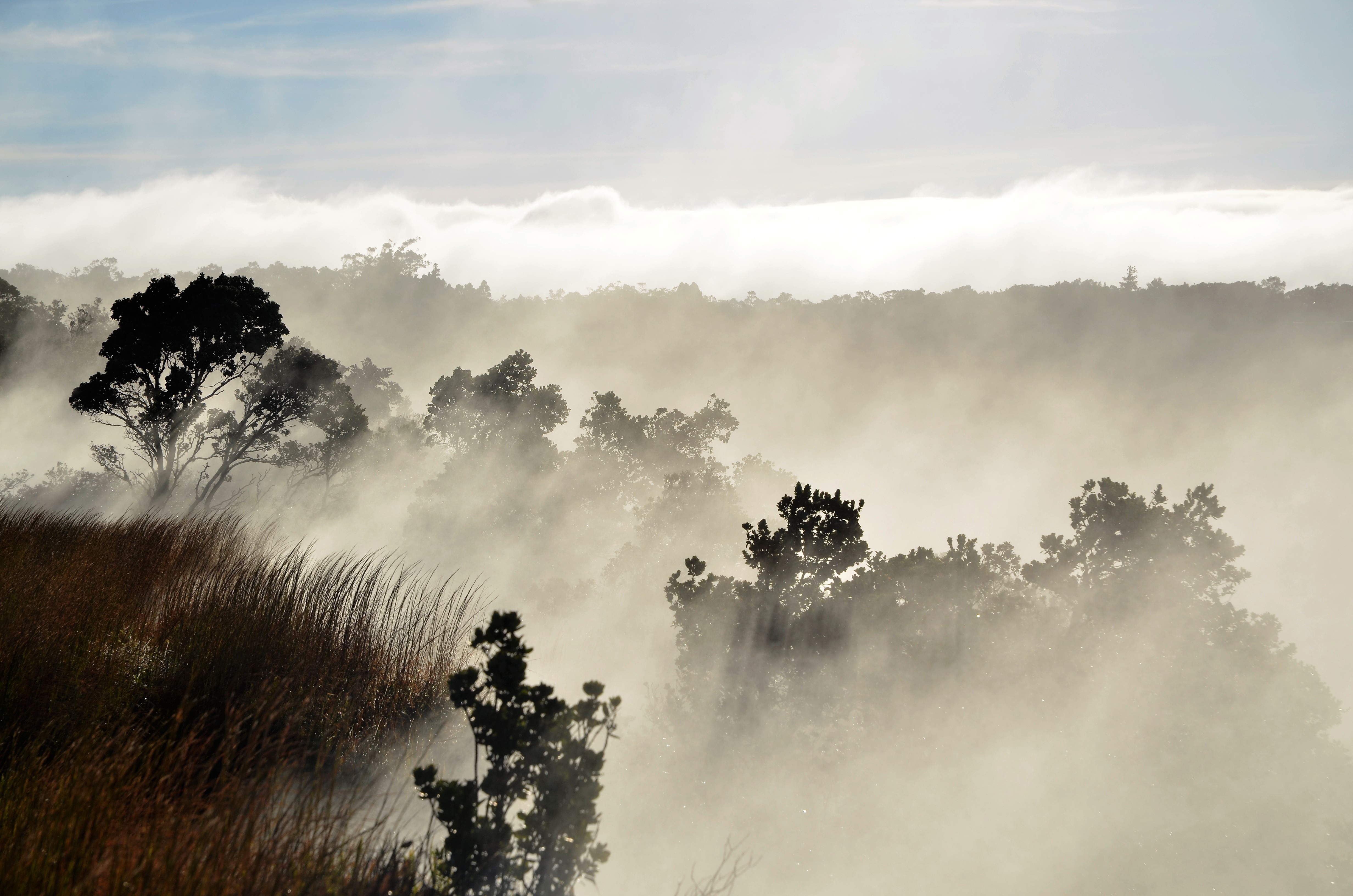 Free download high resolution image - free image free photo free stock image public domain picture -Hawai‘i Volcanoes National Park