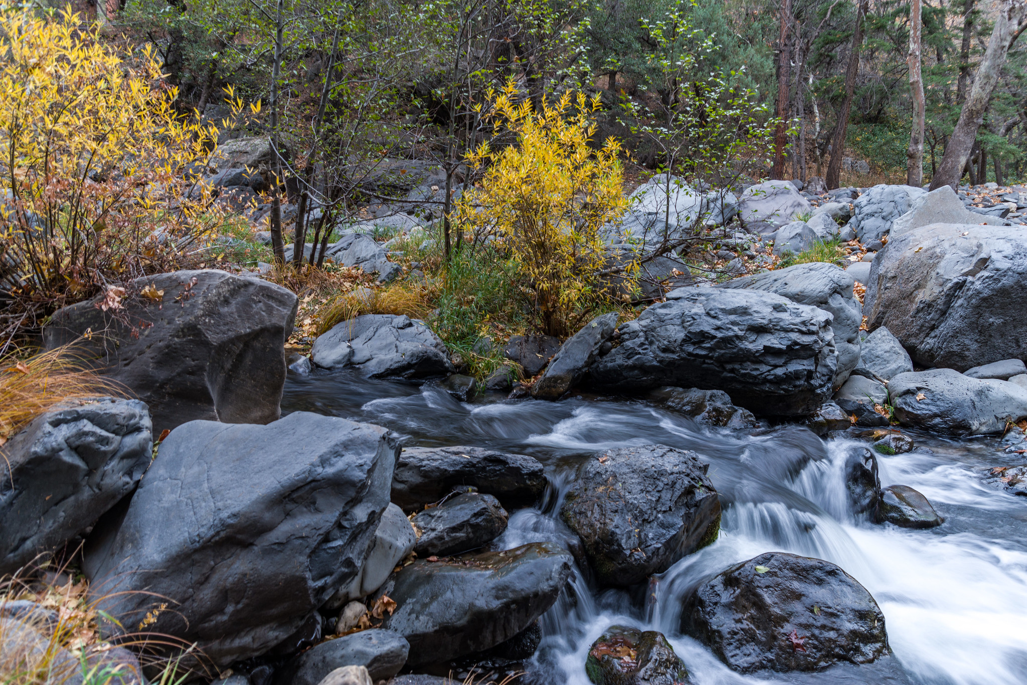 Free download high resolution image - free image free photo free stock image public domain picture -Creek crossing for A.B. Young Trail