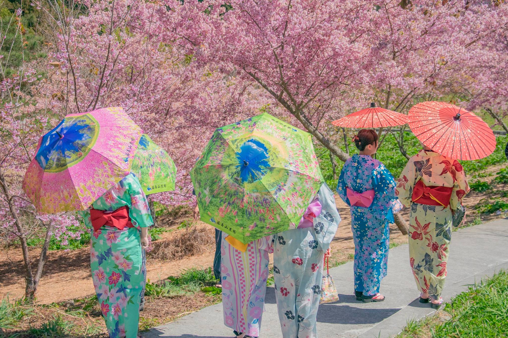 Free download high resolution image - free image free photo free stock image public domain picture -Young women wearing traditional Japanese Kimono